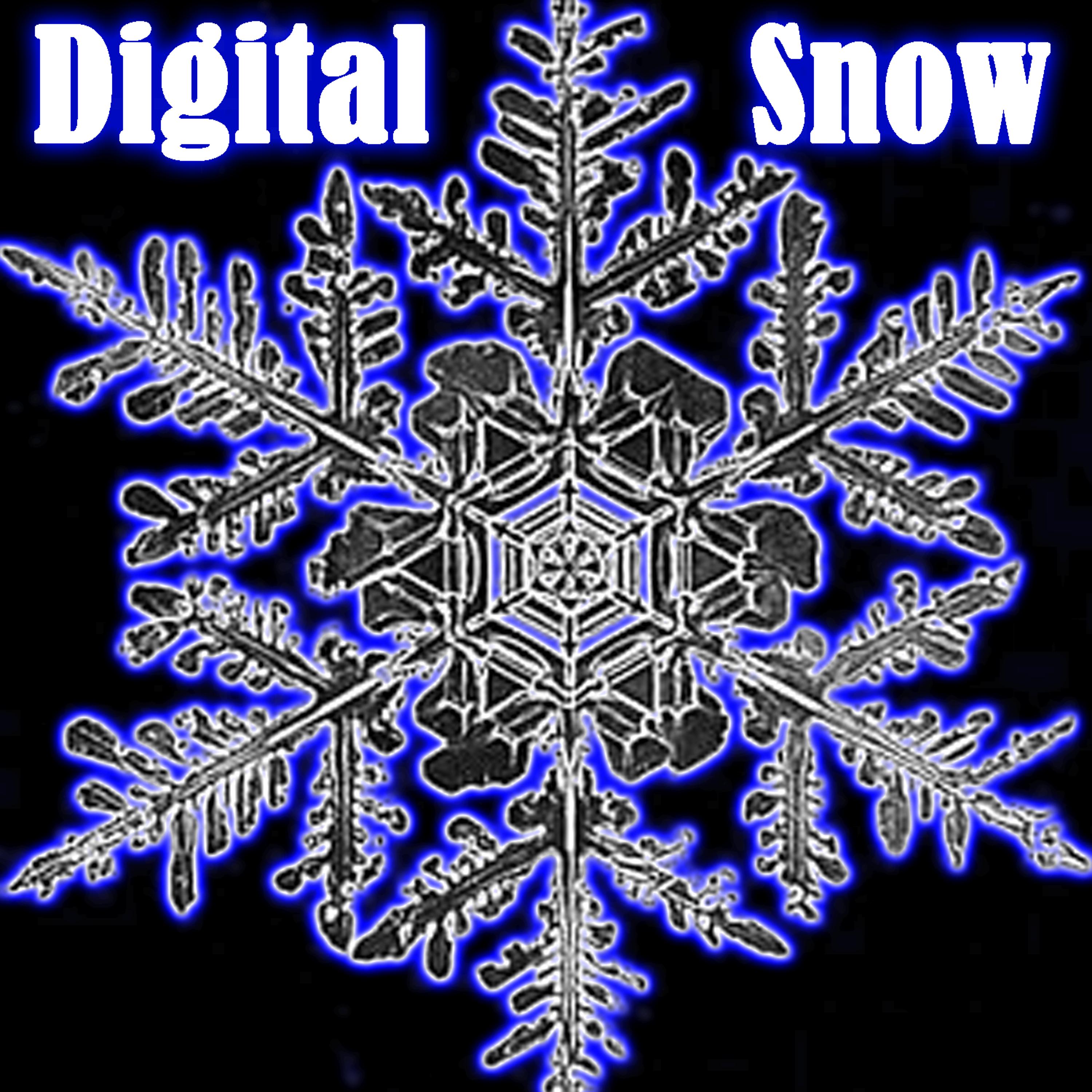 Постер альбома Digital Snow