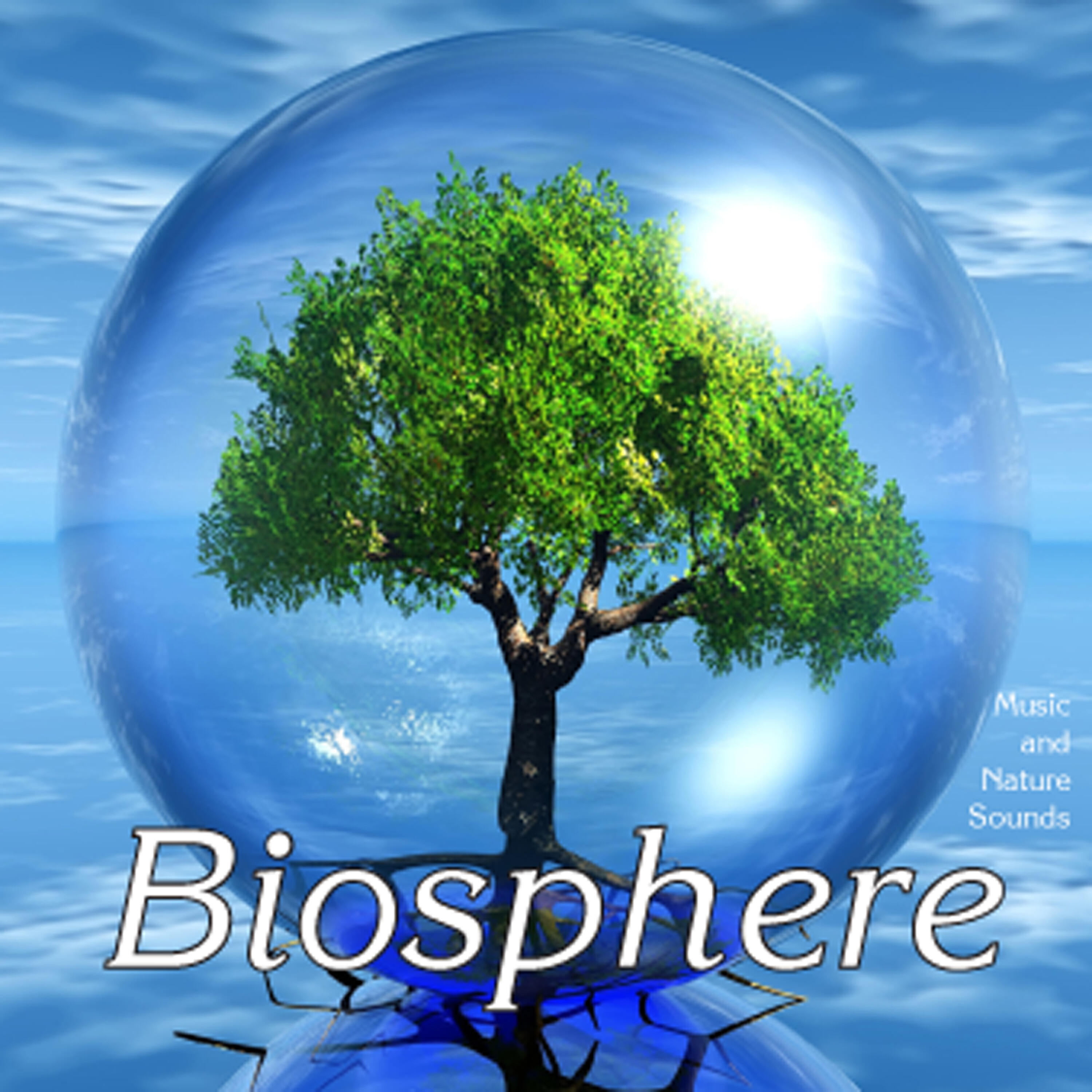 Biosphere: Nature Sounds - Frogs