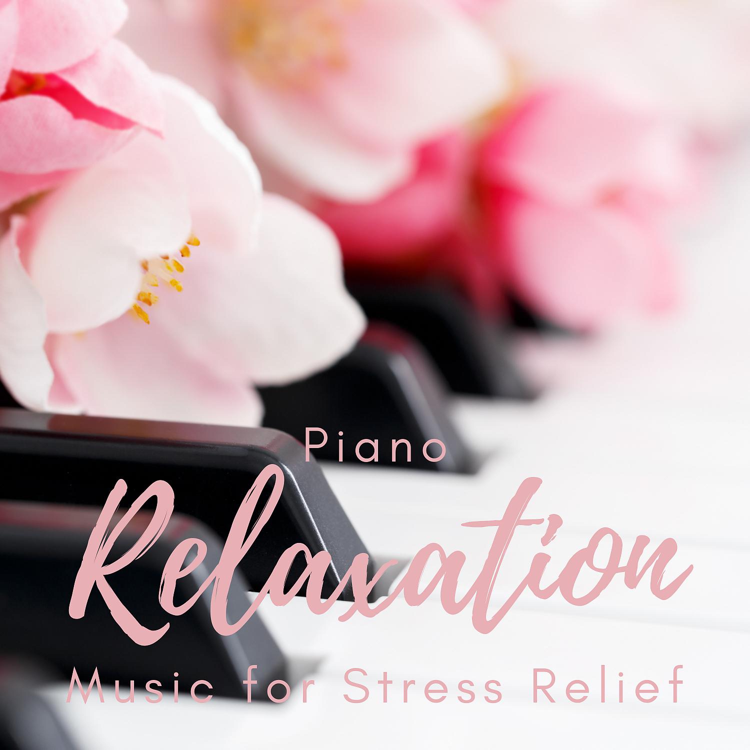 Постер альбома Piano Relaxation Music for Stress Relief