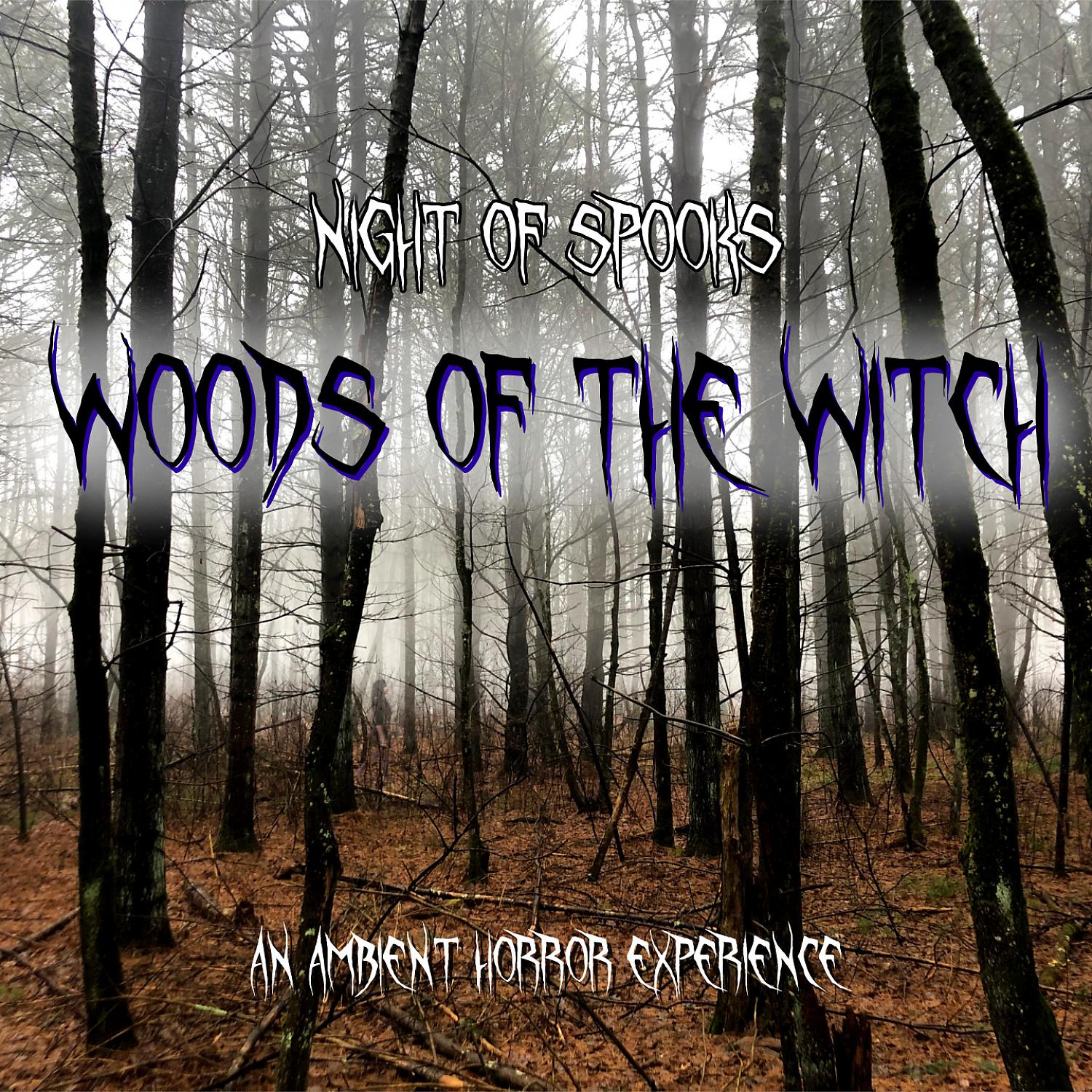 Постер альбома Woods of the Witch