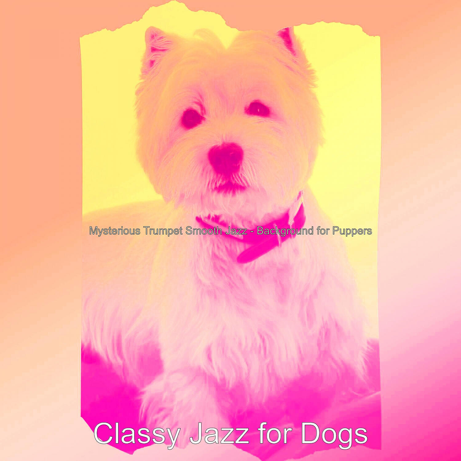 Classy Jazz for Dogs - Serene Music for Echos