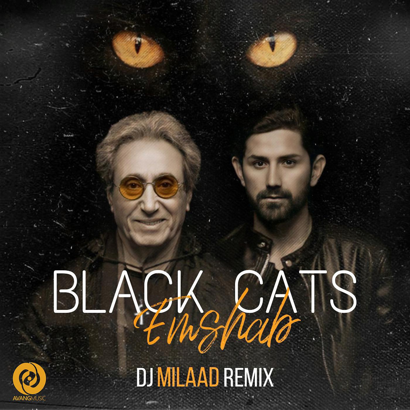 Постер альбома Emshab (Remix)