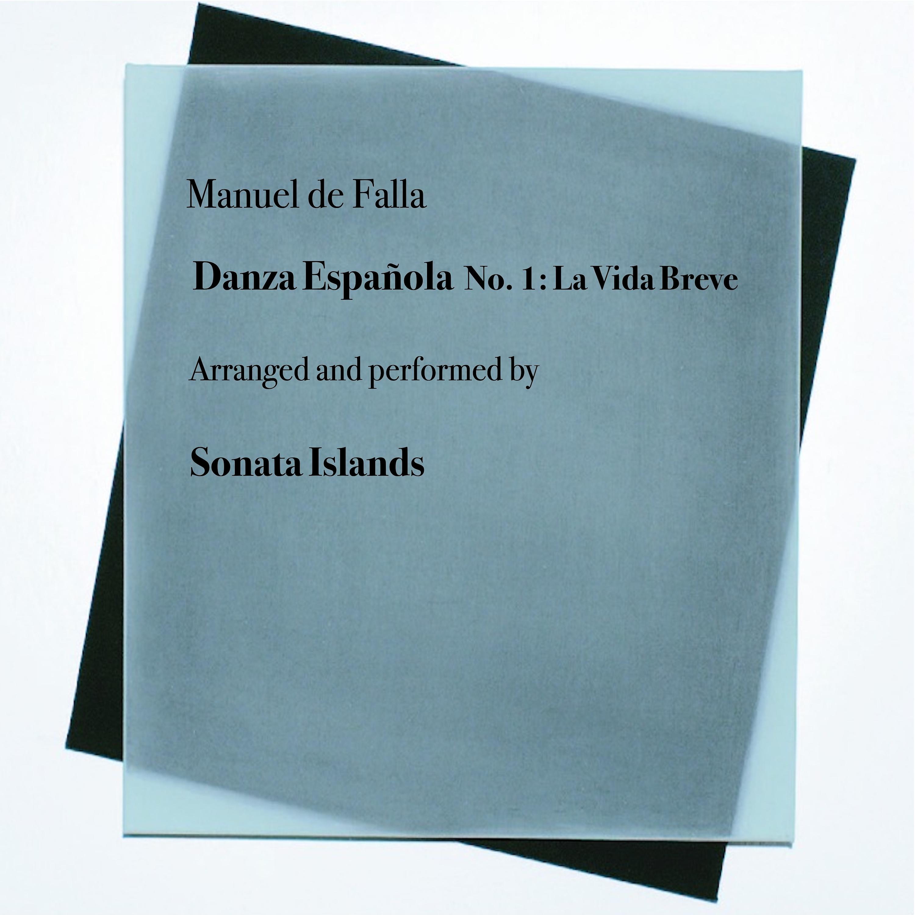 Постер альбома Danza Española No. 1: La Vida Breve
