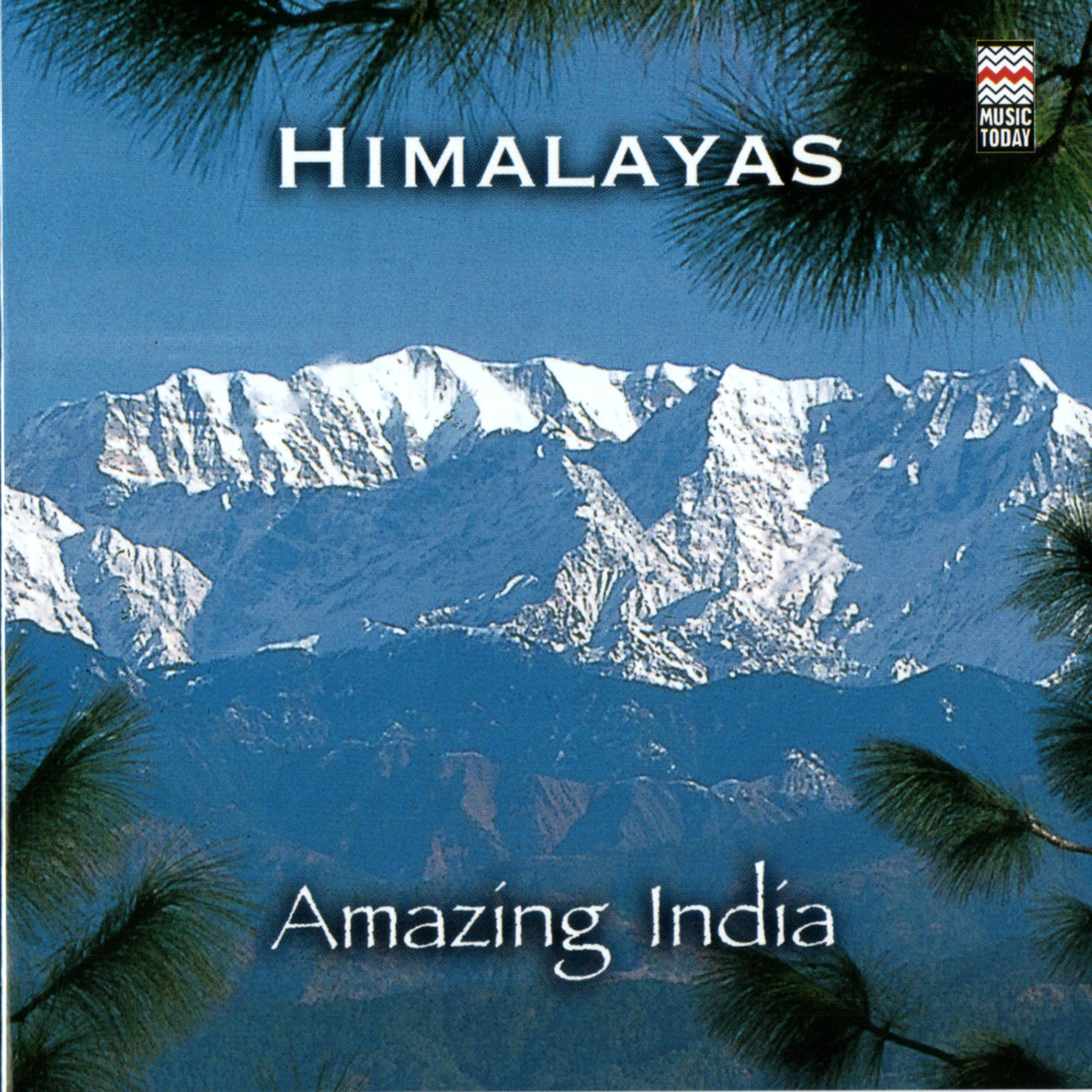 Постер альбома Amazing India - Himalayas