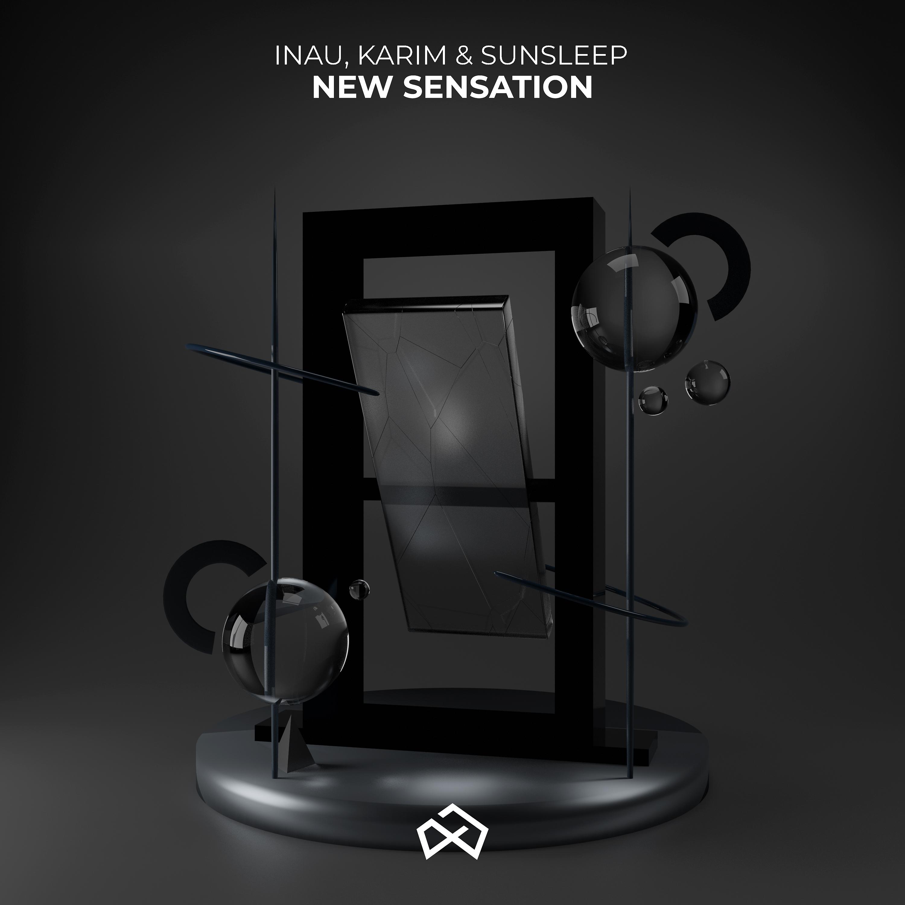 Постер альбома New Sensation