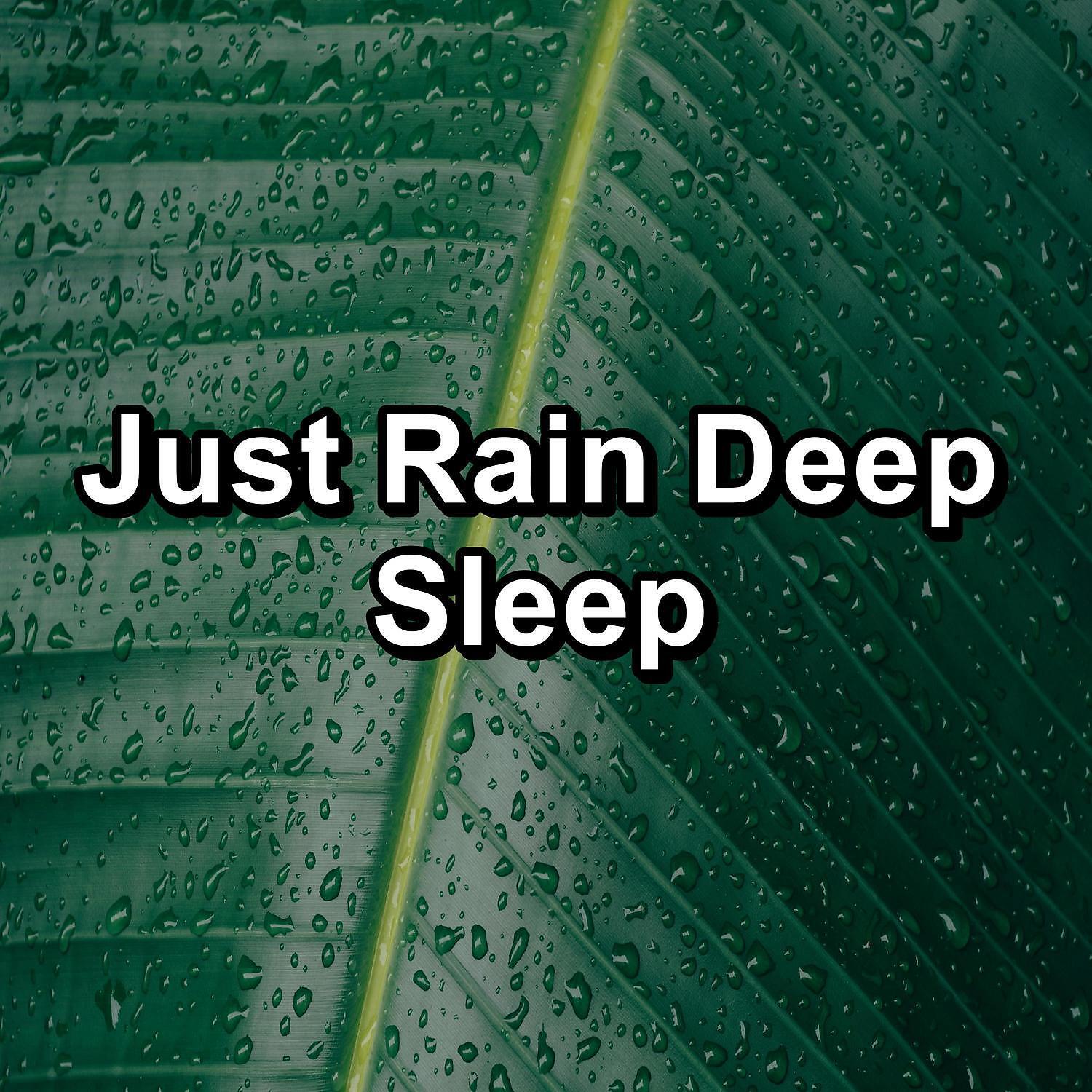 Deep Sleep Music Experience - Quiet Rain For a Peaceful Night To Sleep with for 8 Hours