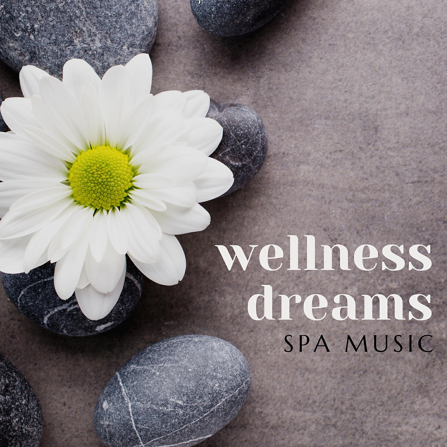 Relaxing Spa Music Zone - Free from Stress & Tension