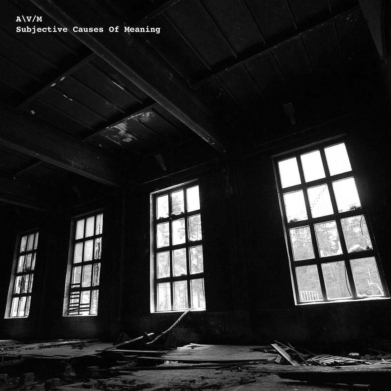 A\\V - Subjective Causes Of Meaning (Original Mix)
