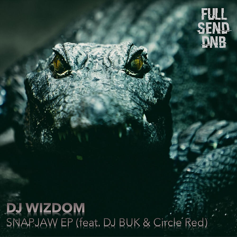 DJ Wizdom - Snapjaw (Circle Red Boss Battle Remix)