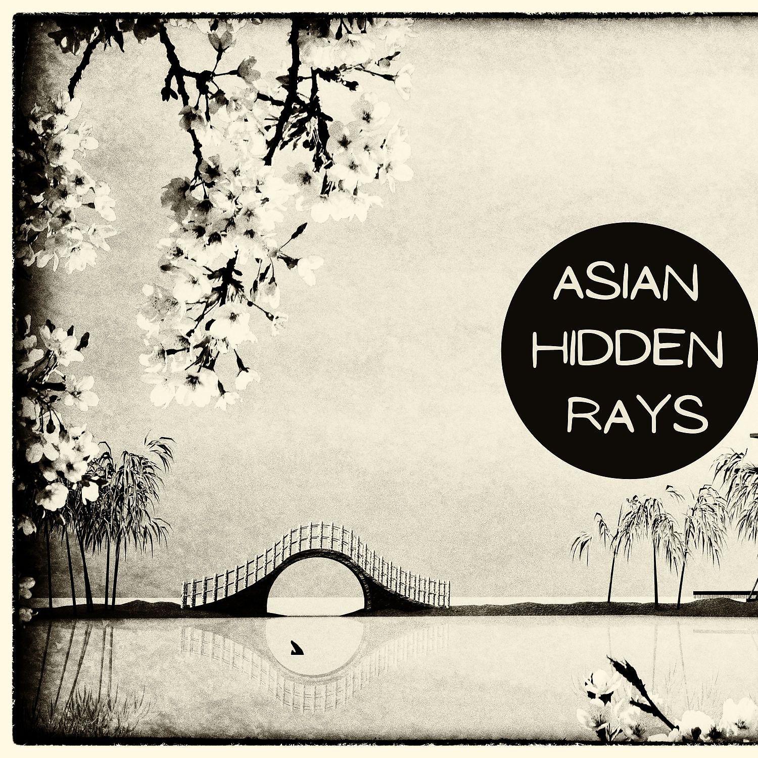 Постер альбома Asian Hidden Rays