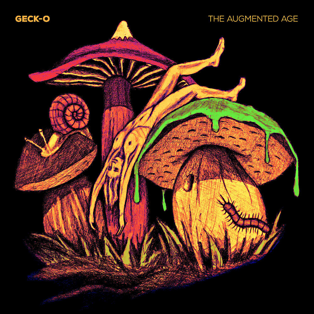 Geck-O - The Augmented Age