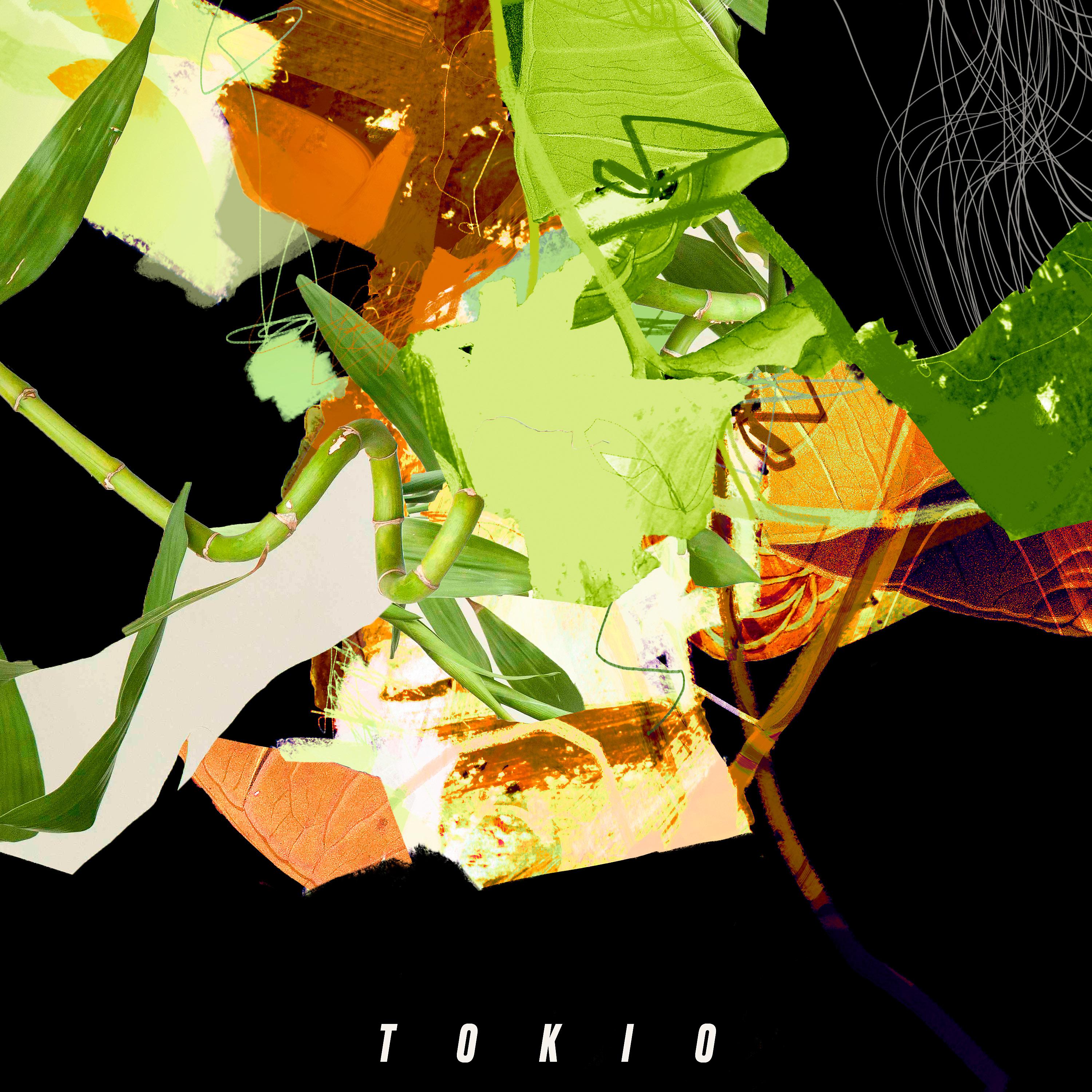 Постер альбома Tokio