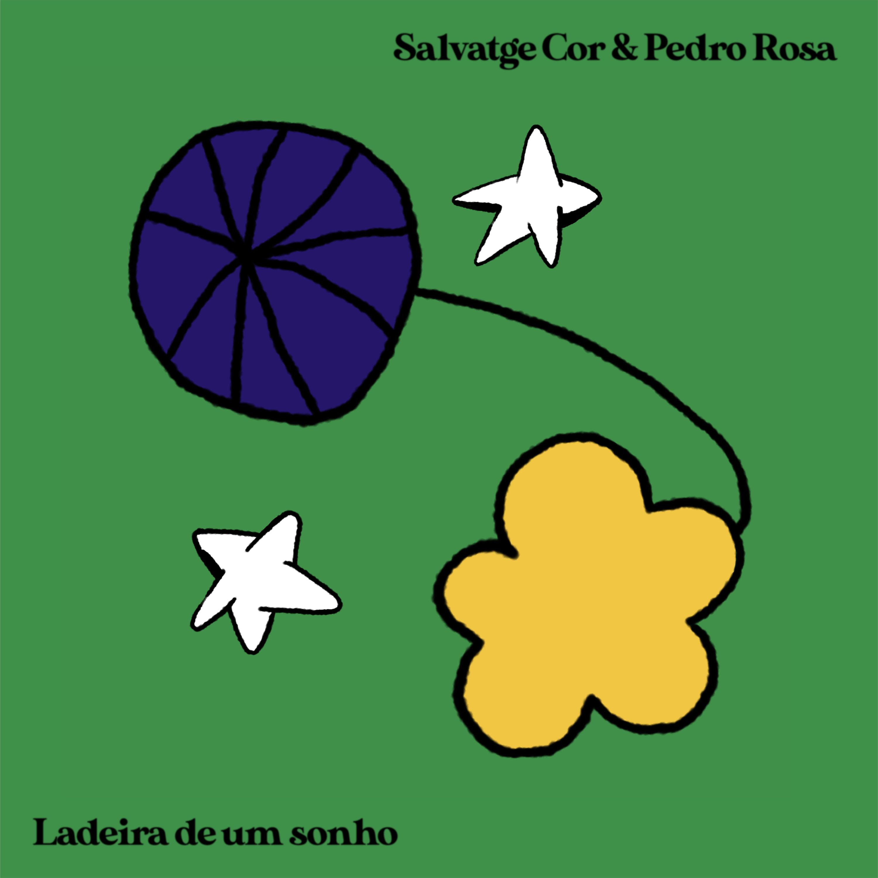 Постер альбома Ladeira de um Sonho