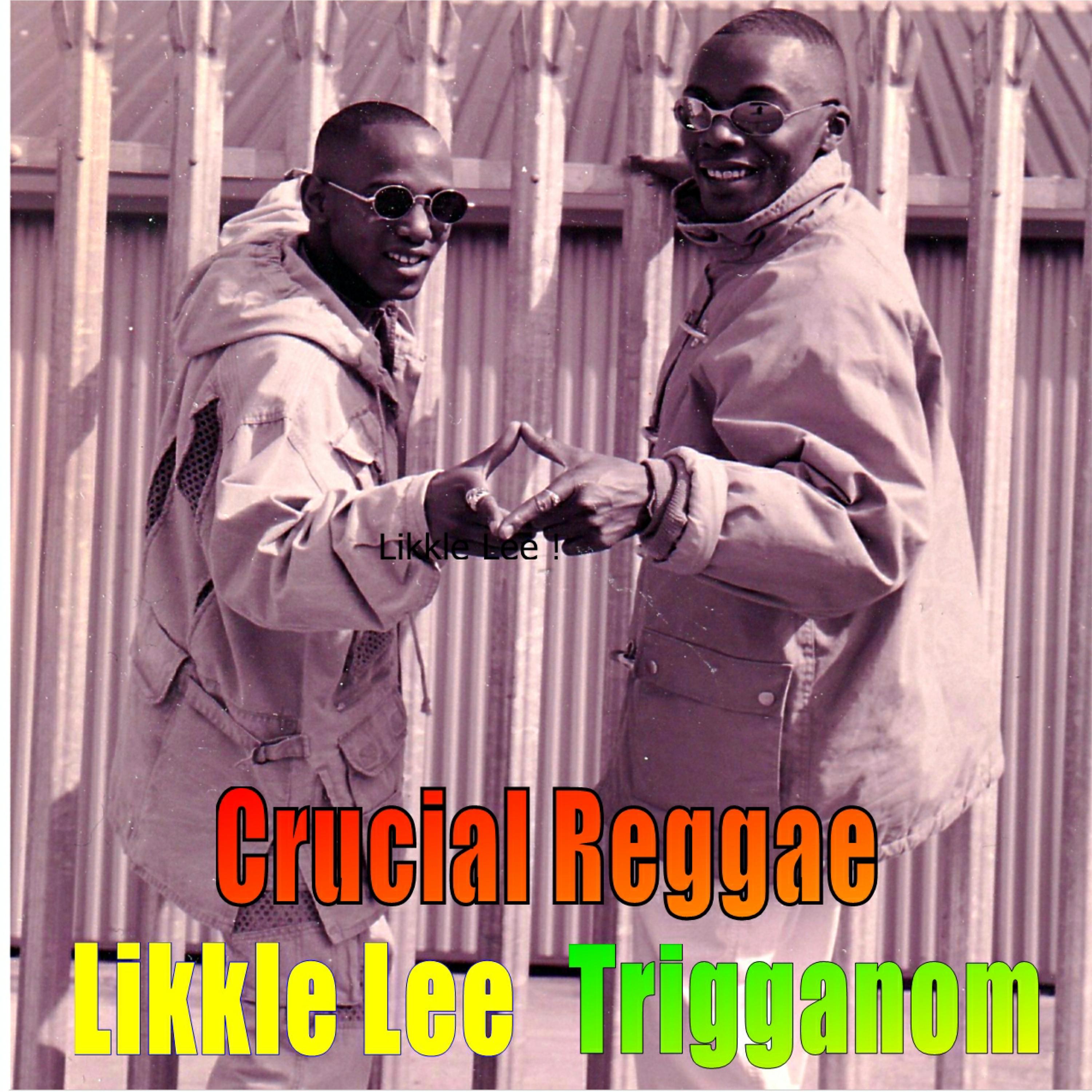 Постер альбома Crucial Reggae