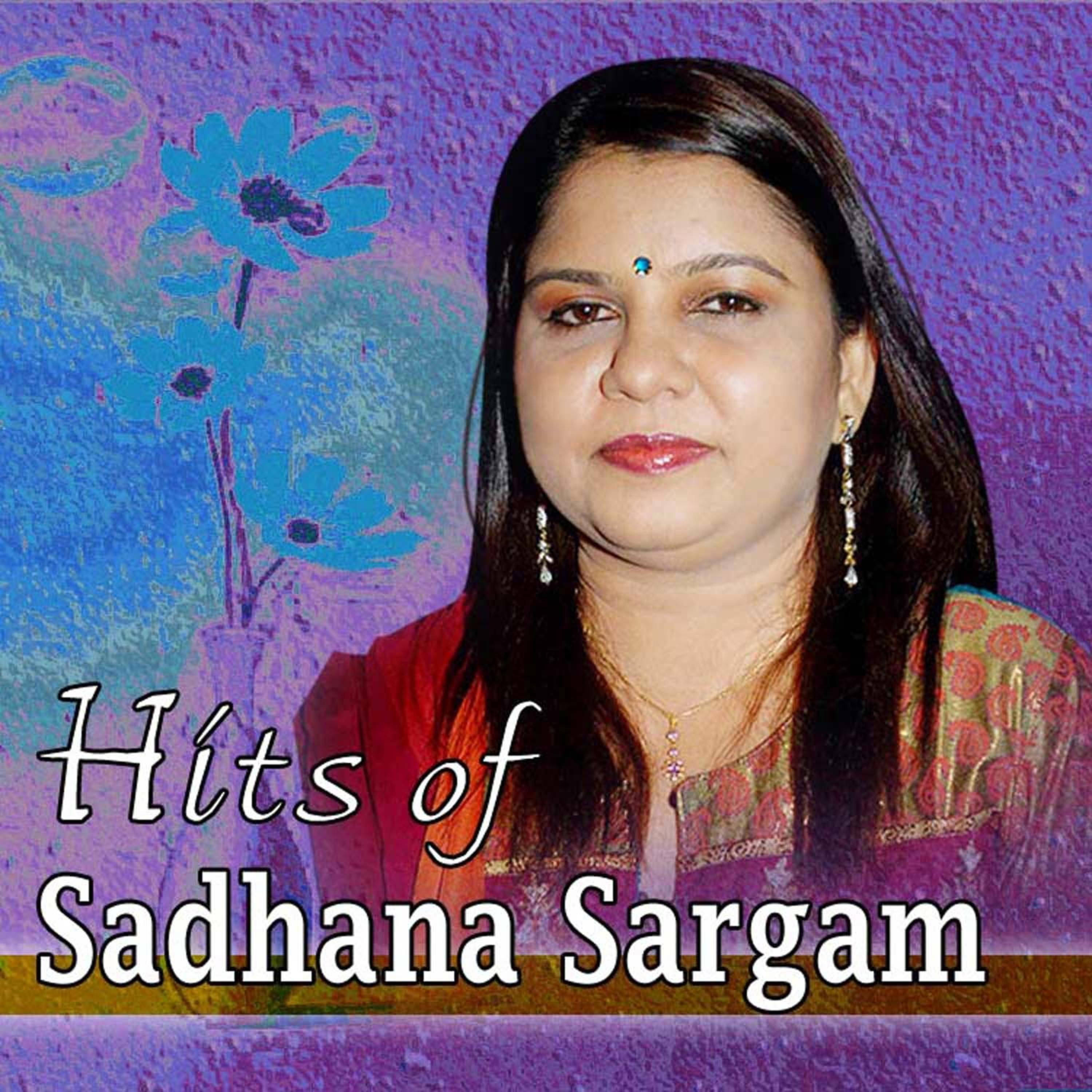 Постер альбома Hits of Sadhana Sargam