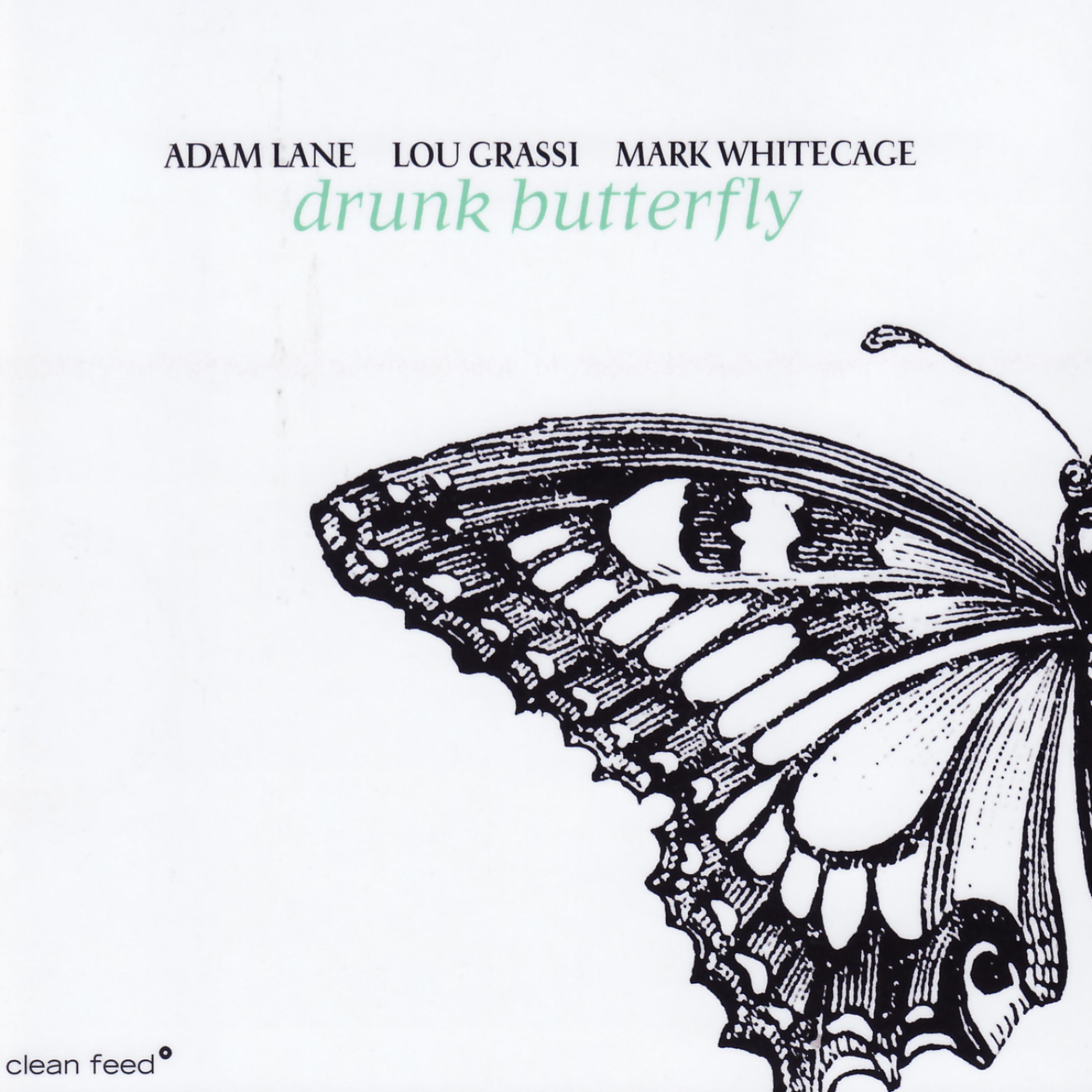 Постер альбома Drunk Butterfly
