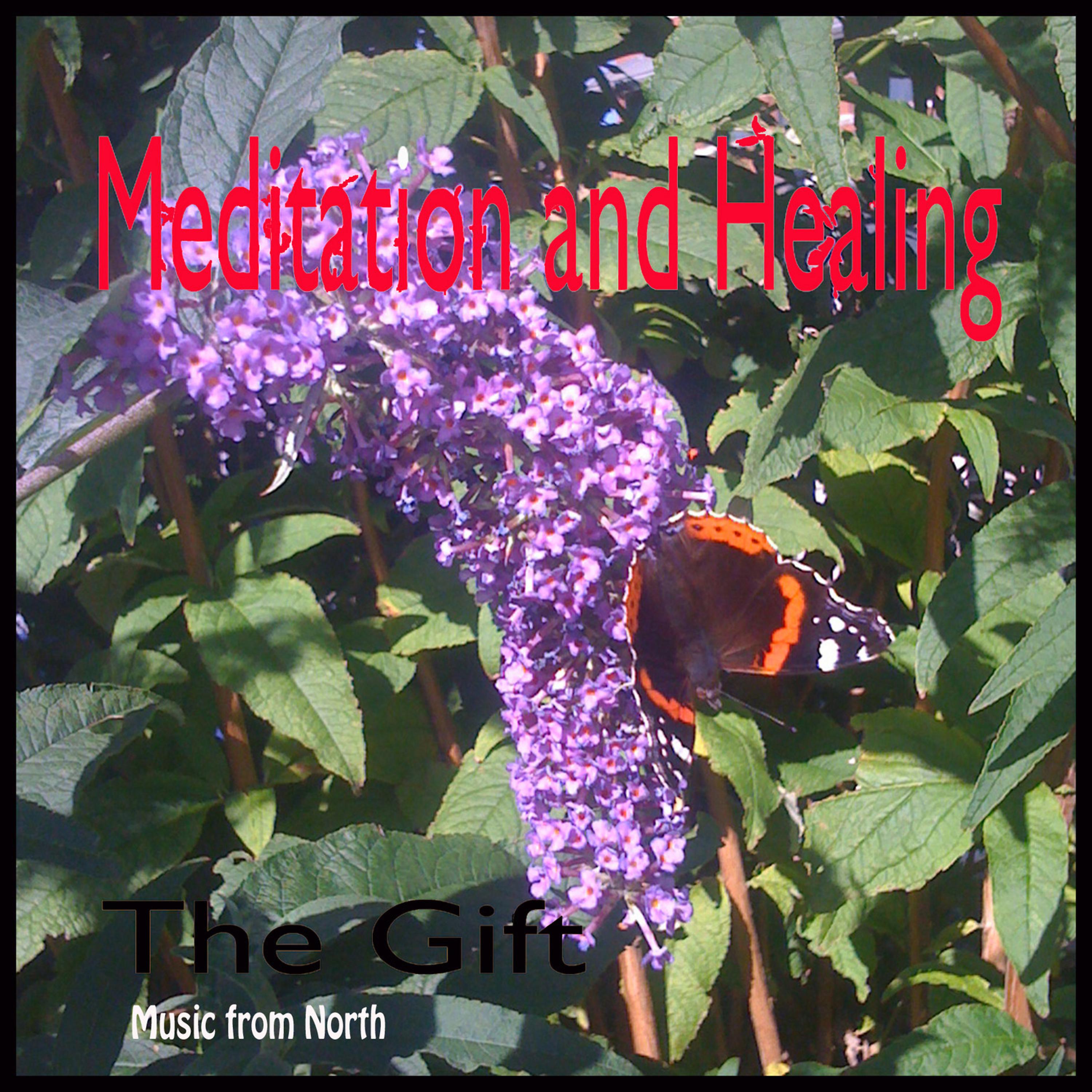 Постер альбома Mediation and Healing