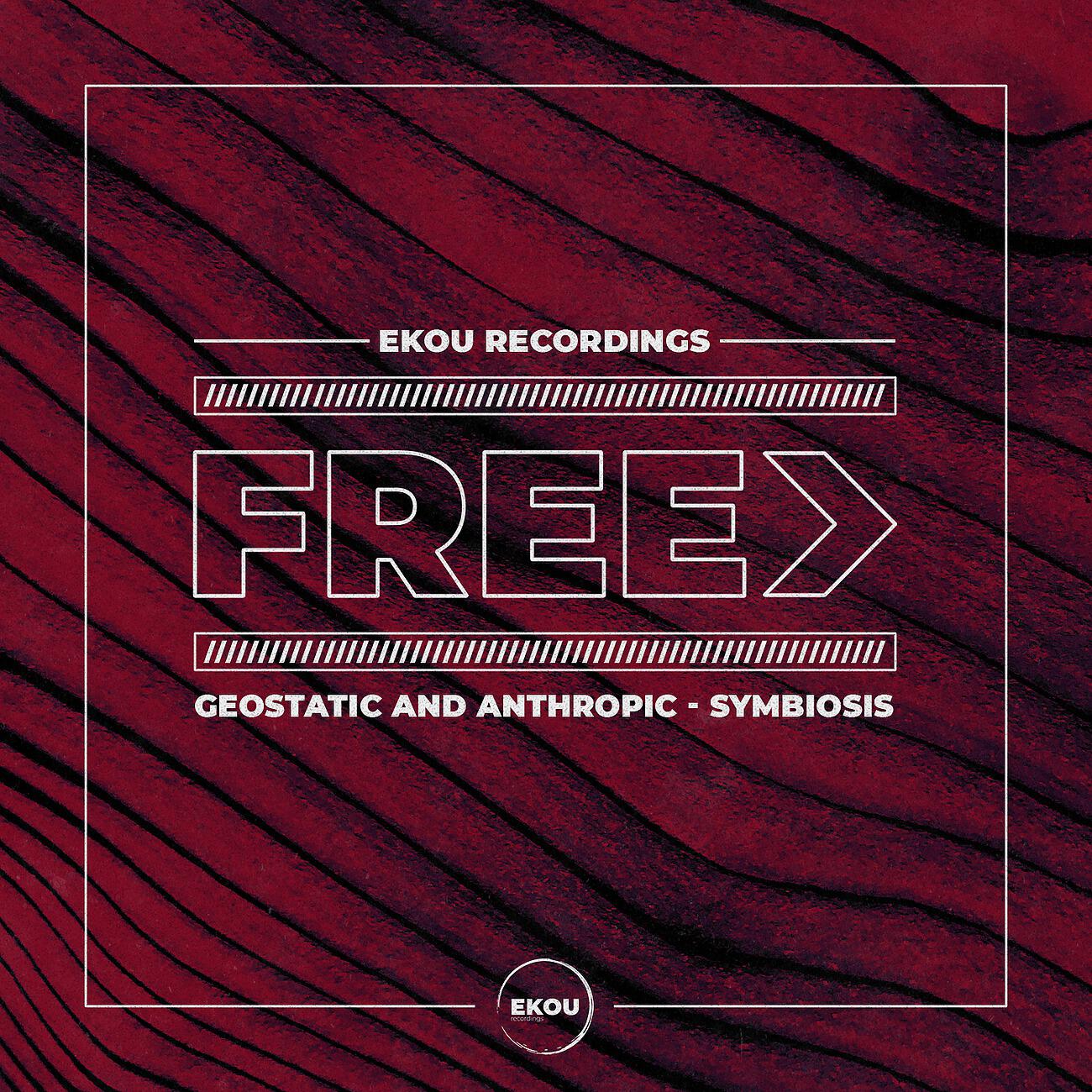 Geostatic - Symbiosis (Original Mix)