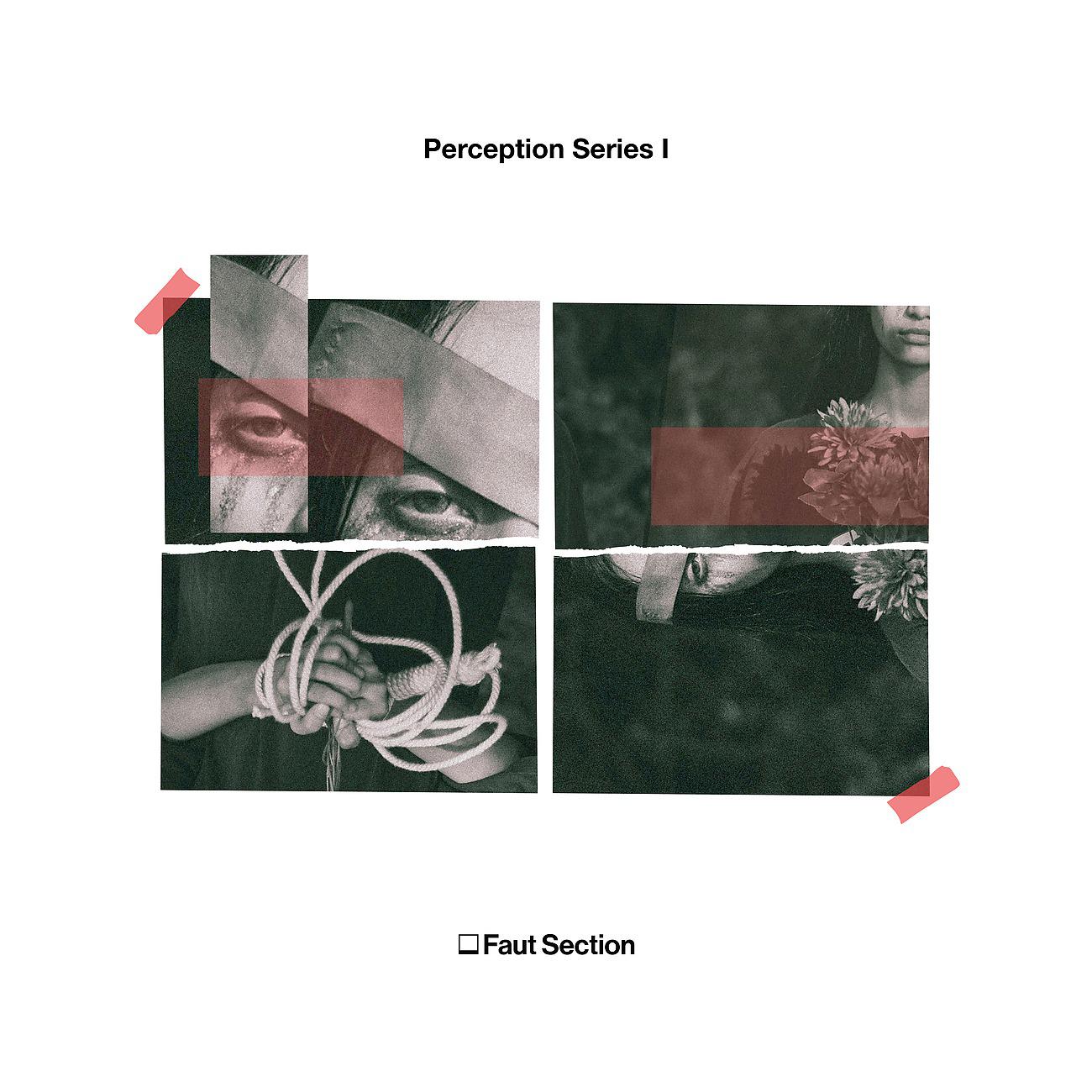 Постер альбома Perception Series I