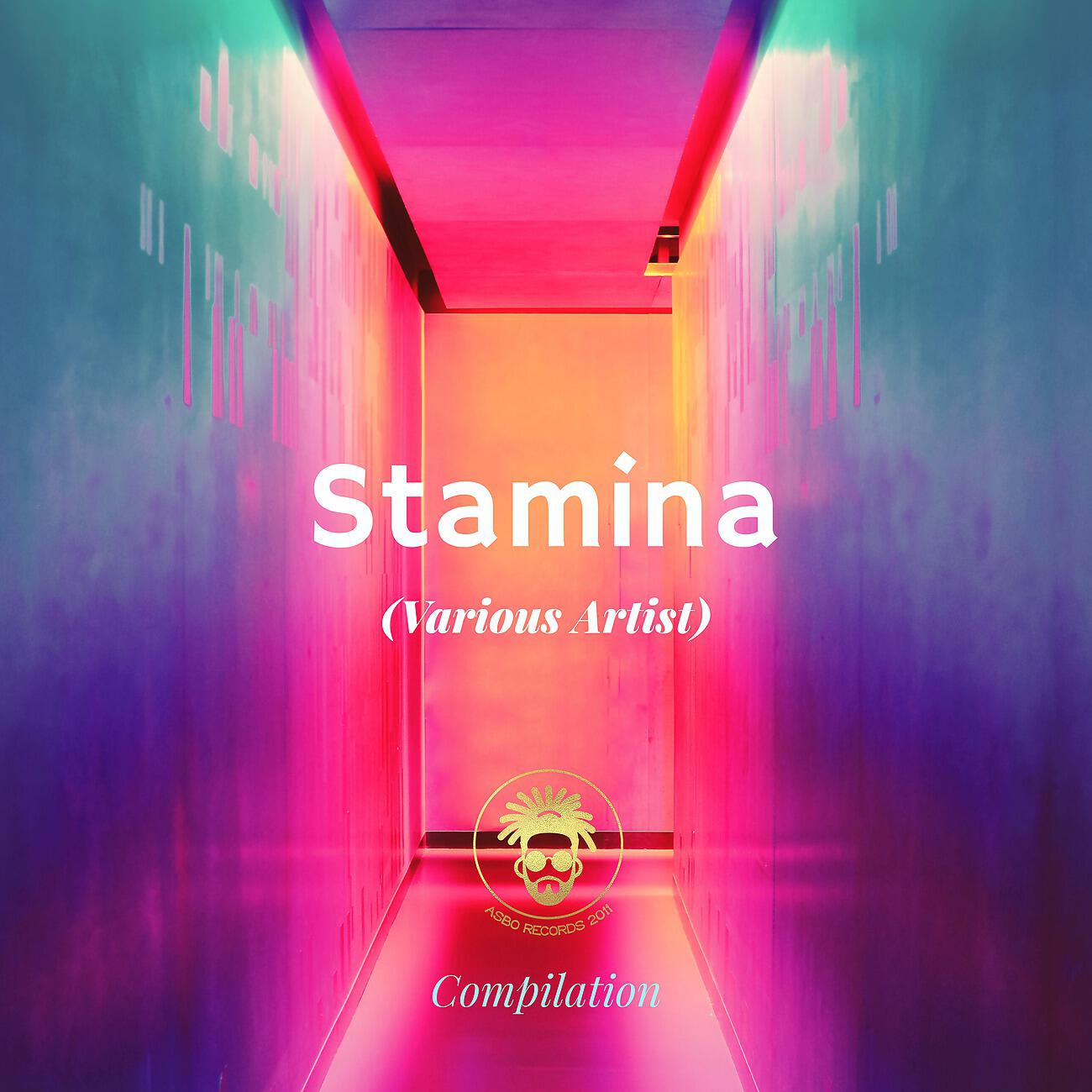 The Dream Team - Stamina (Aries ,Stivs & Kelvin 373 Remix)