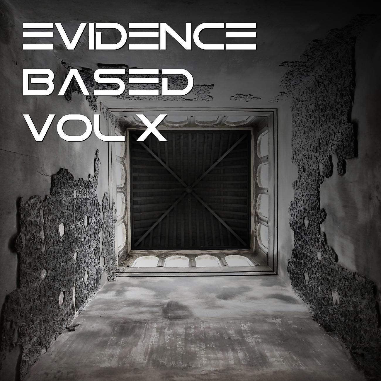 Постер альбома Evidence Based Vol. 10