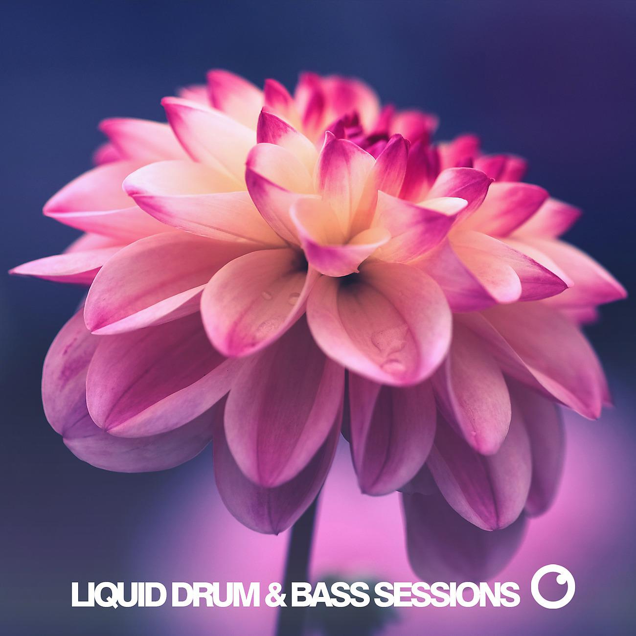 Постер альбома Liquid Drum & Bass Sessions 2020 Vol 9