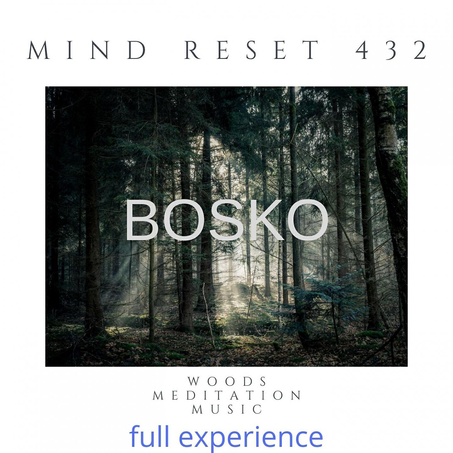 Mind Reset 432 - BOSKO Woods meditation music (8)