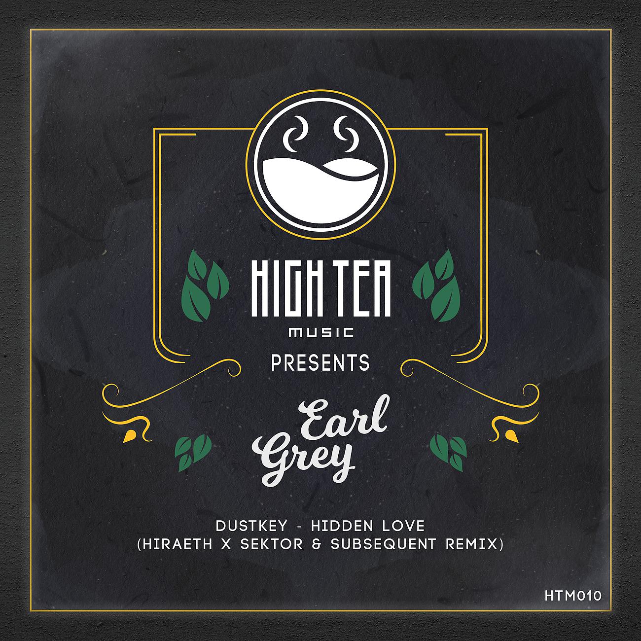 Постер альбома Hidden Love (Hiraeth x Sektor & Subsequent Remix)