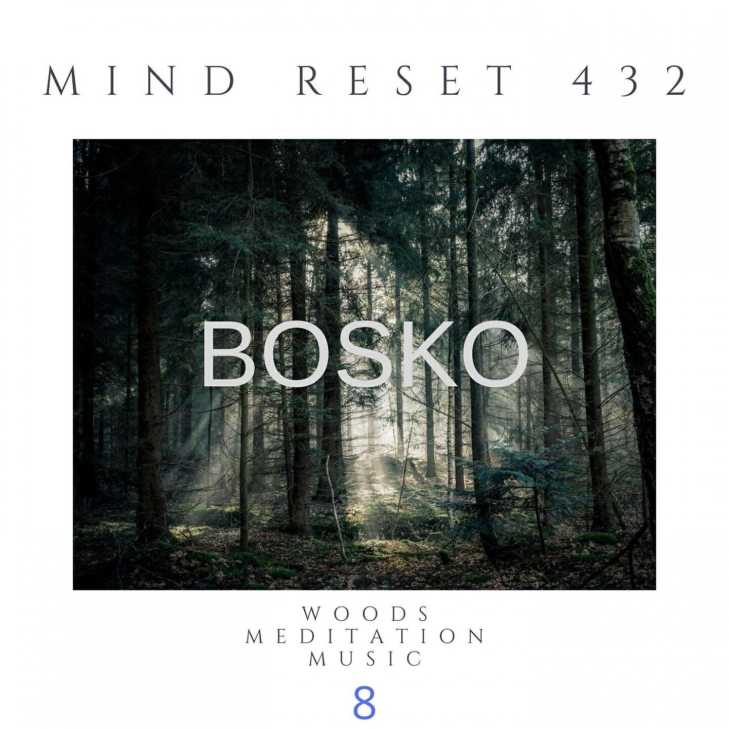 Mind Reset 432 - BOSKO Woods meditation music (8)