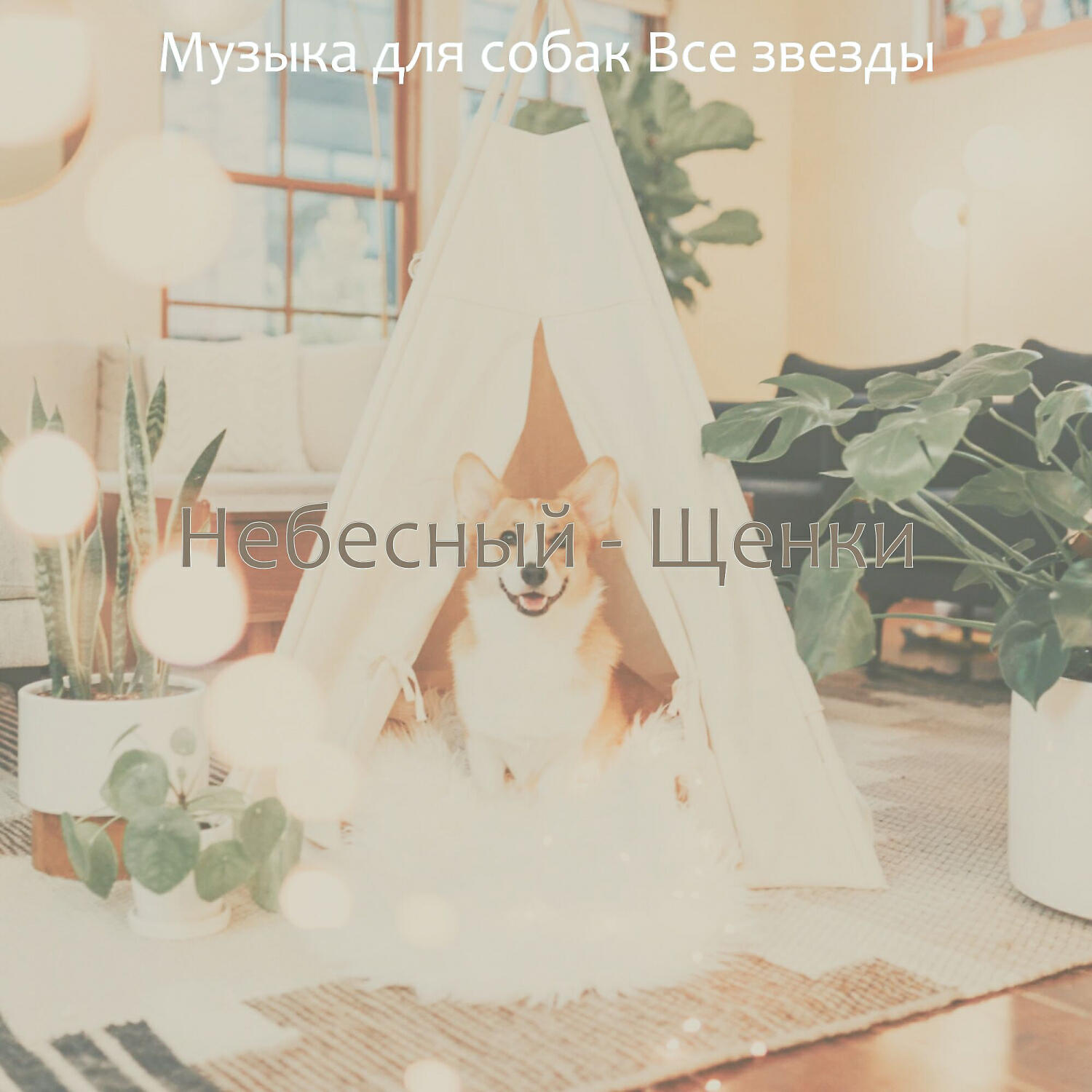 Музыка для собак Все звезды - Звуки (Выгул собак)