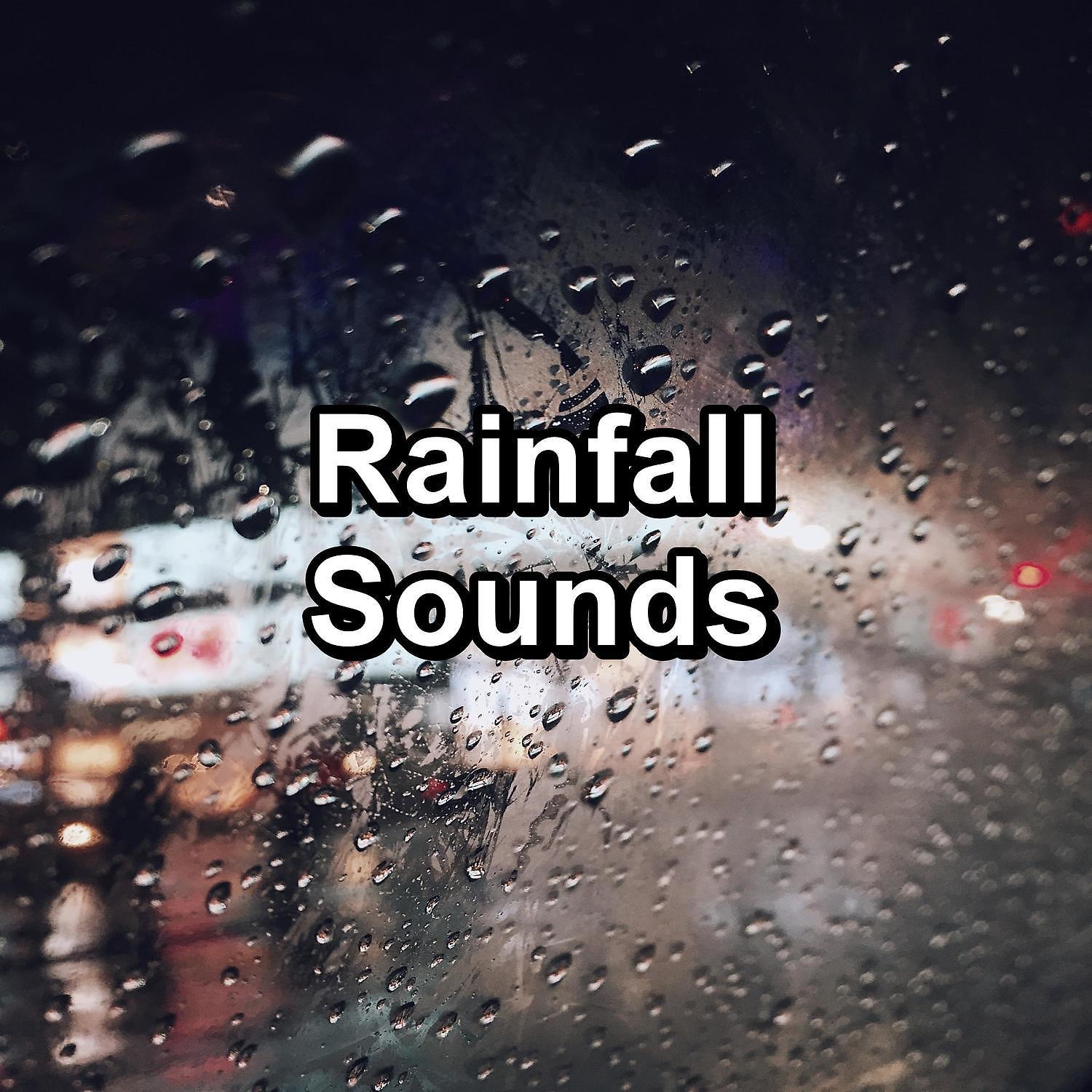 Постер альбома Rainfall Sounds