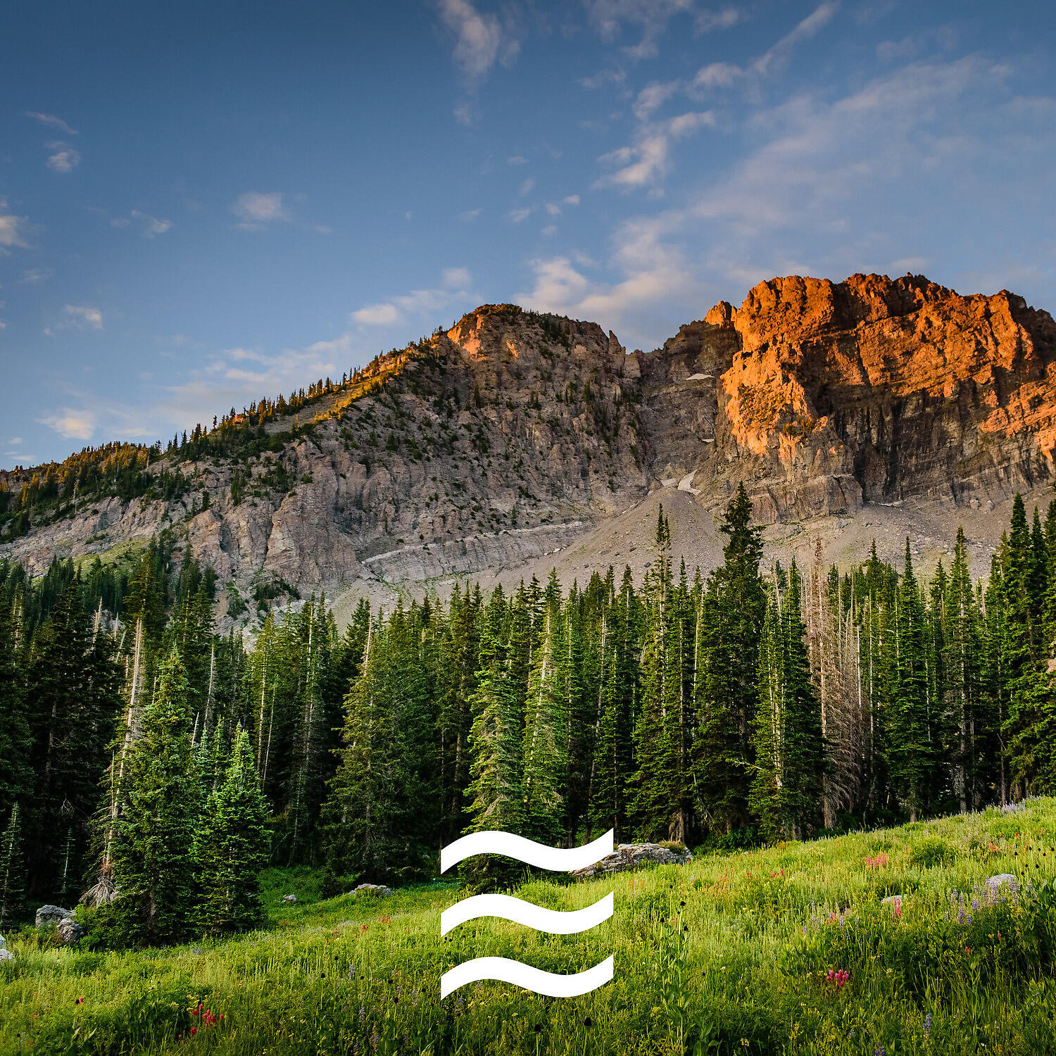 Home Office: Nature Waves - Smooth Soft Sounds for Home Office