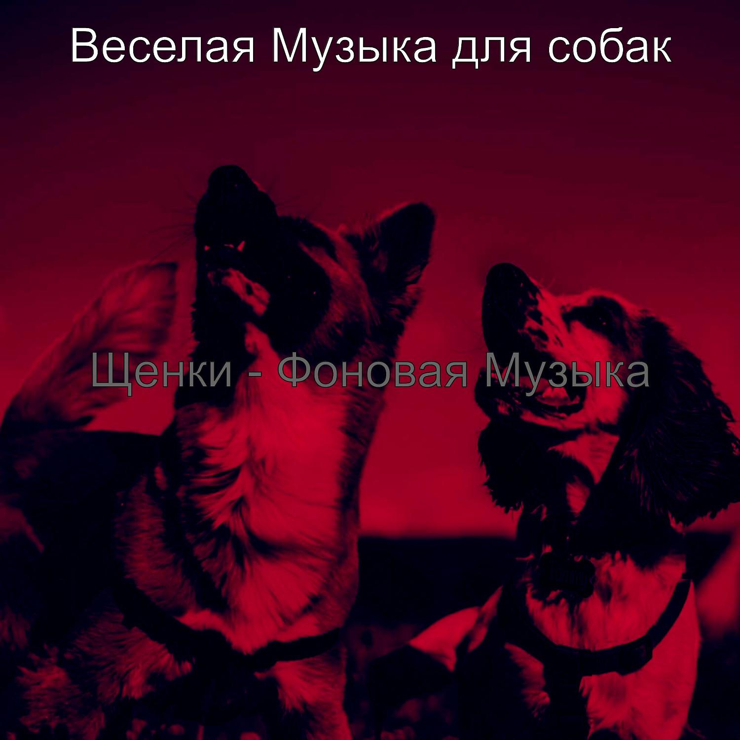 Постер альбома Щенки - Фоновая Музыка