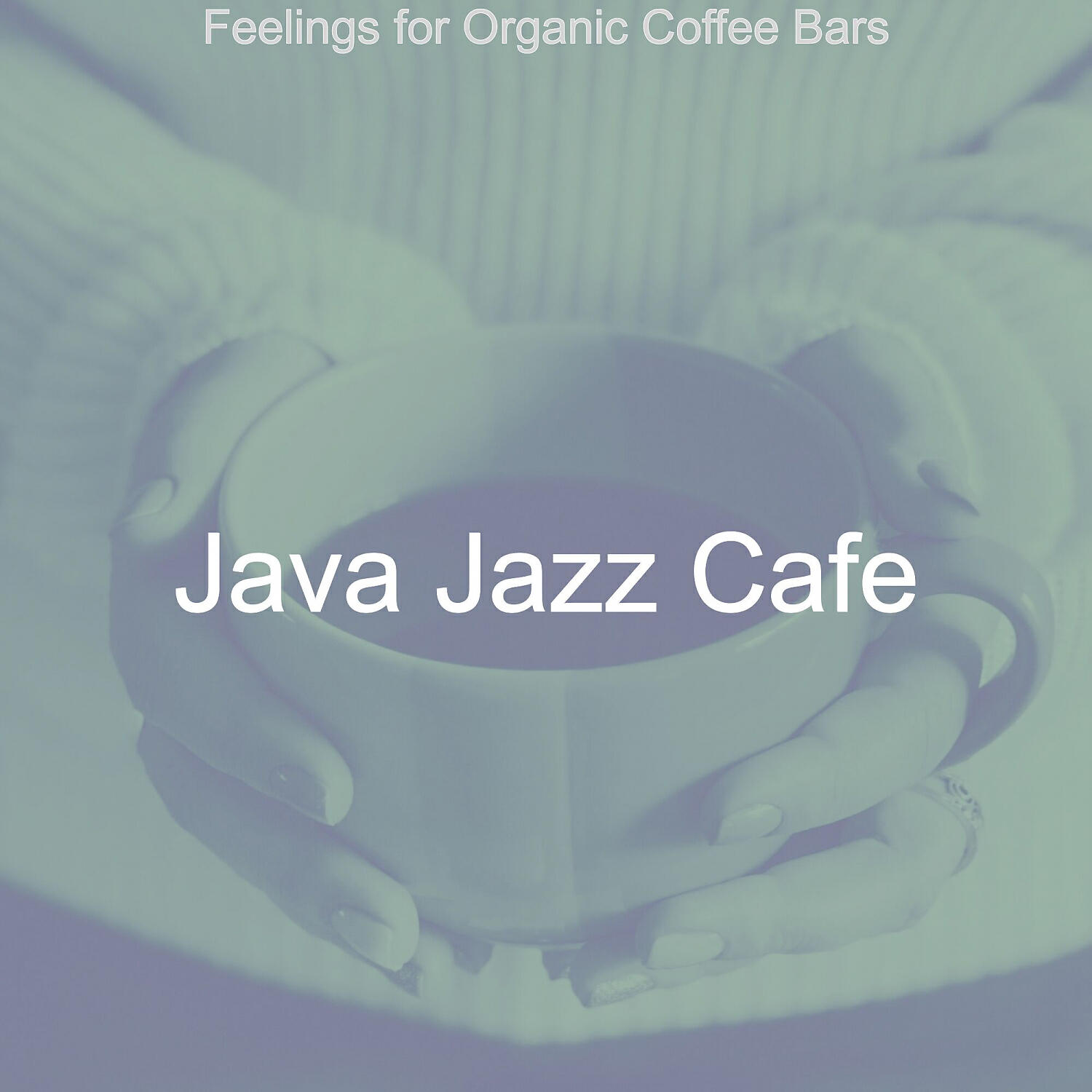 Java Jazz Cafe - Grand Ambience for Coffeehouses