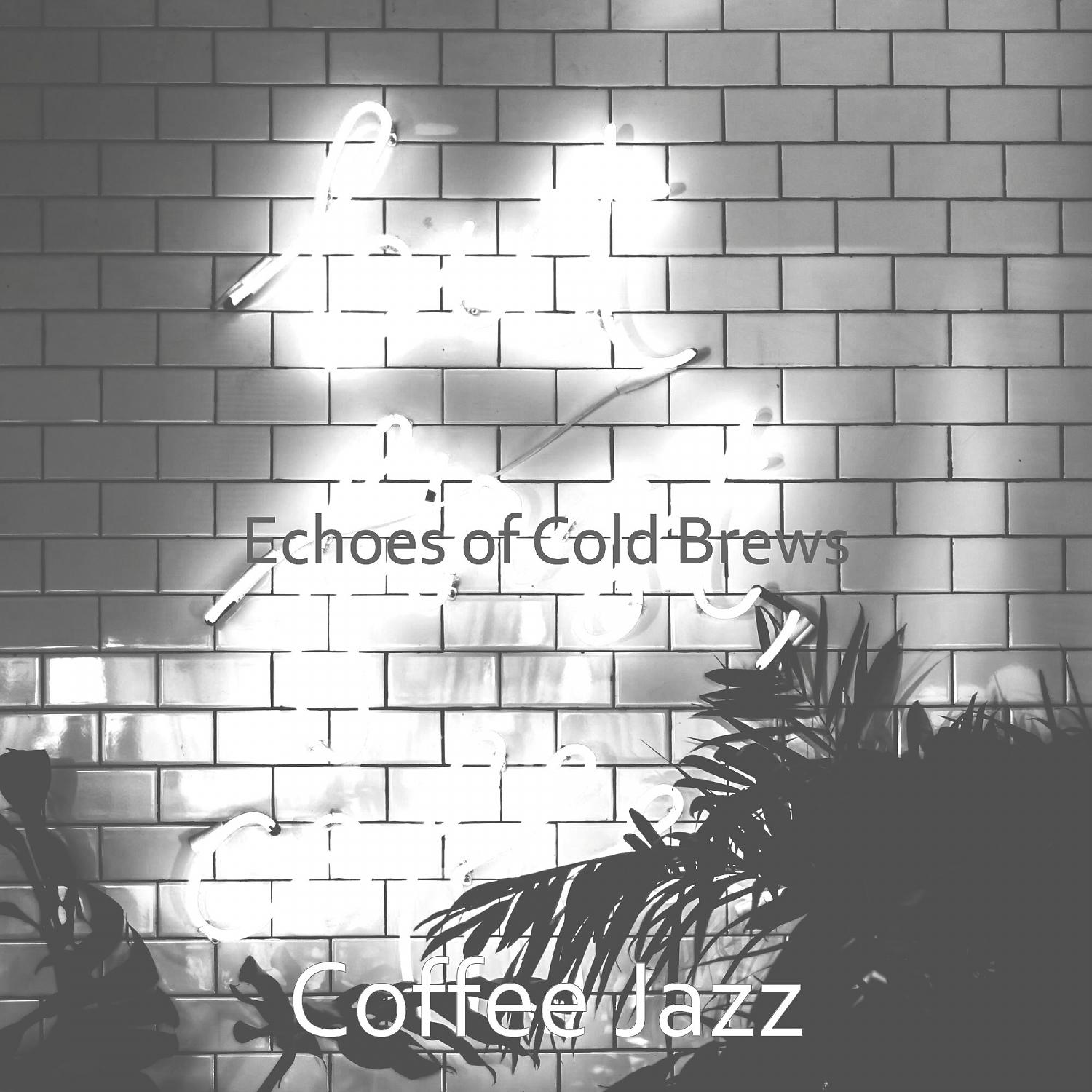 Постер альбома Echoes of Cold Brews