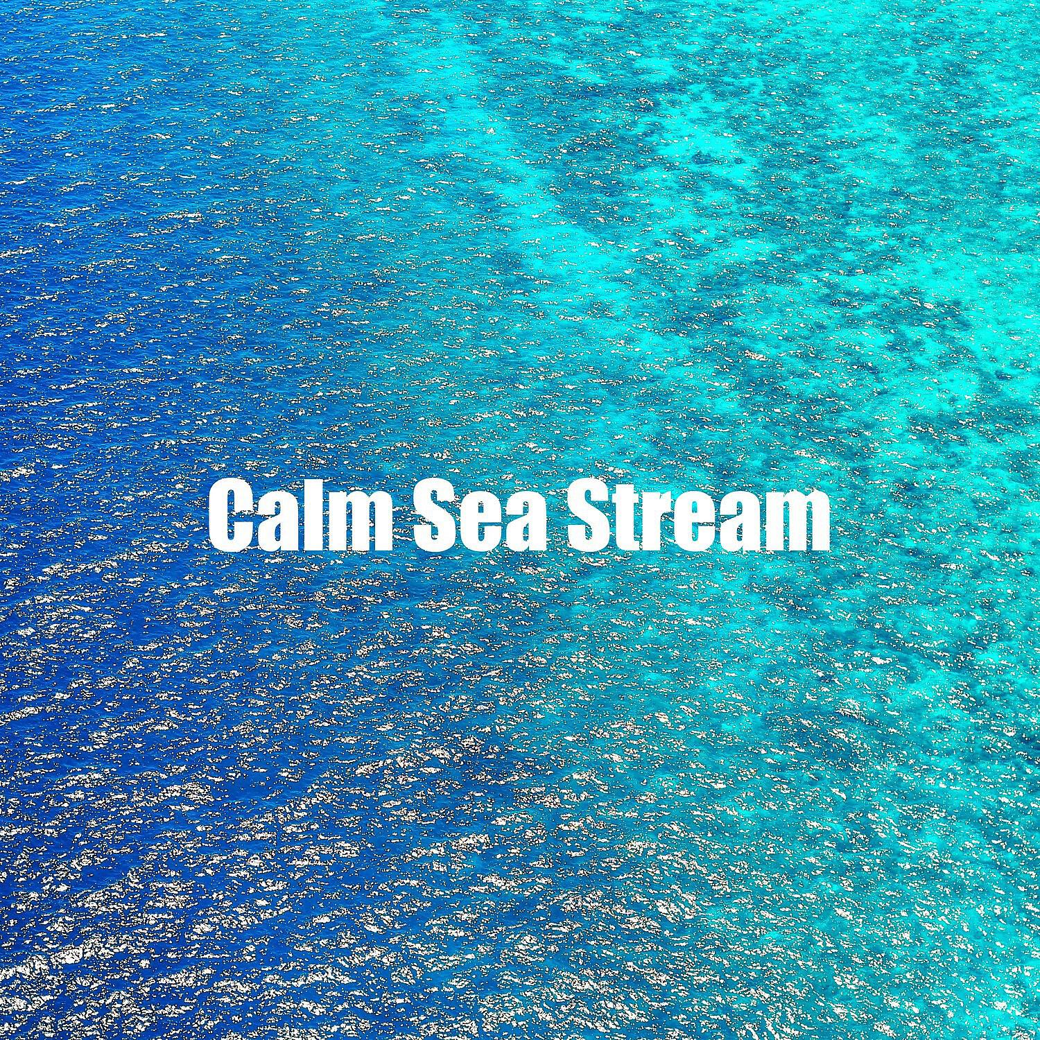 Nature Waves Sounds - Full Spectrum of Sea