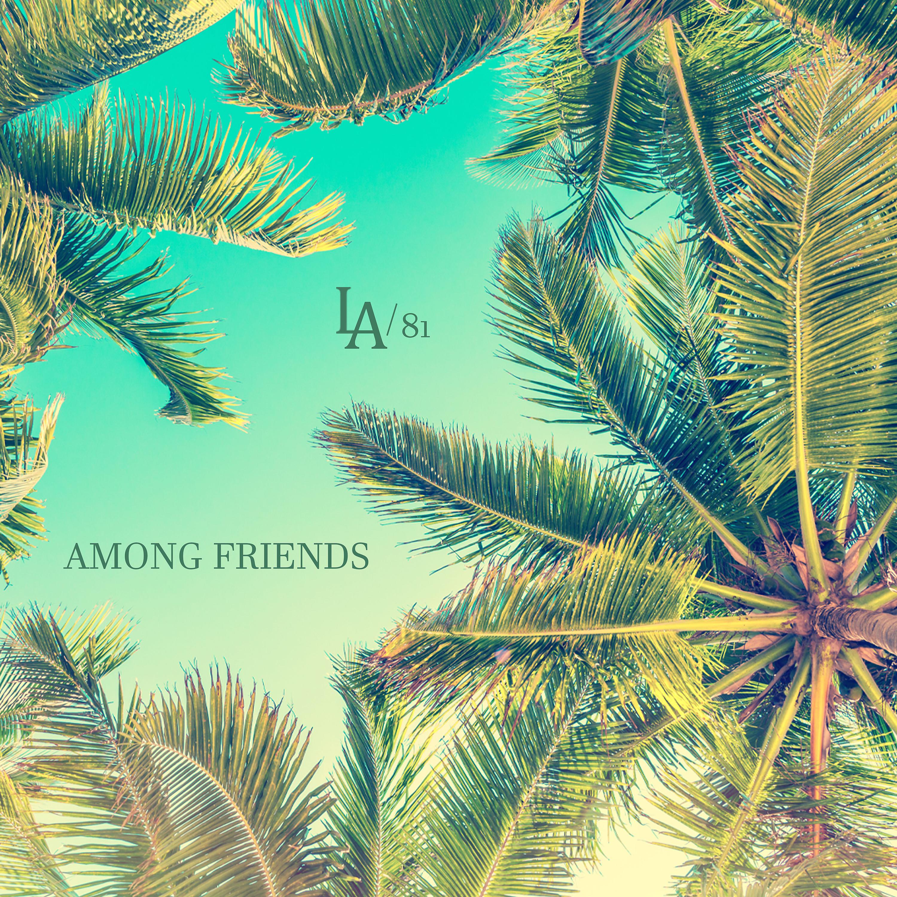Постер альбома Among Friends
