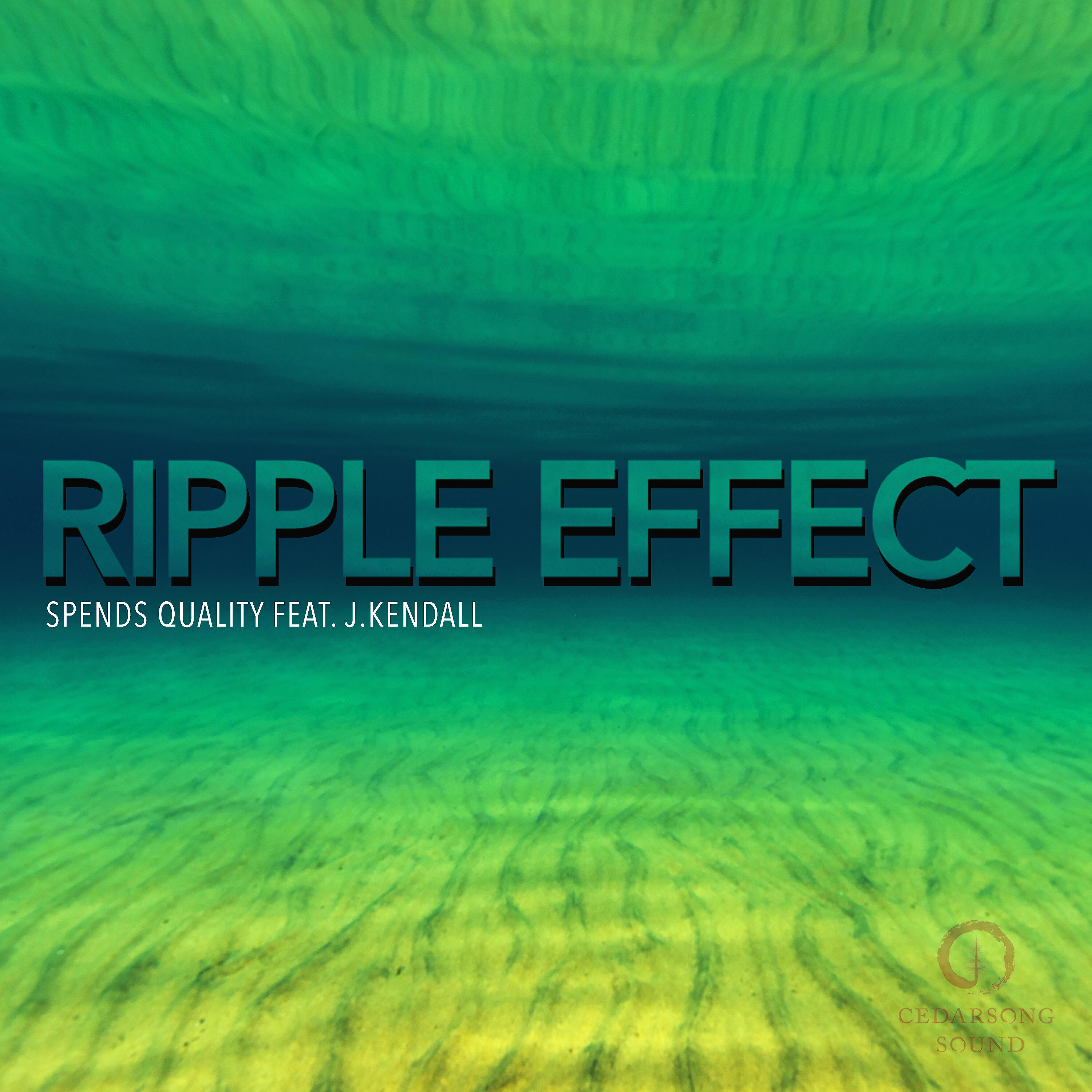Spends Quality - Ripple Effect