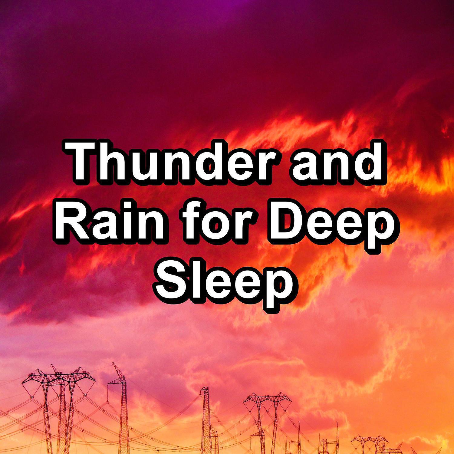 The Rain Library - Rain with Alpha Waves in the Night