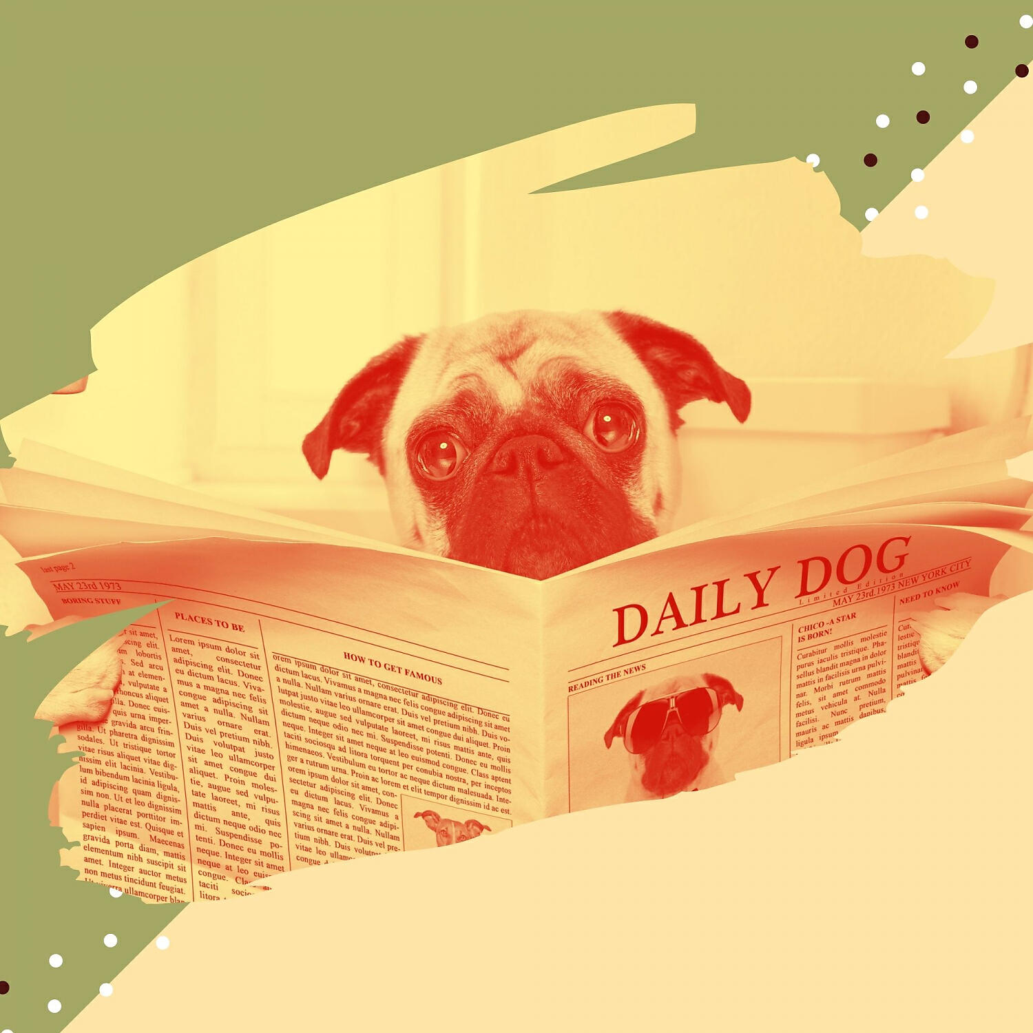 Relaxing Dog Music Ambience - Amazing Ambiance for Stressed Out Dogs
