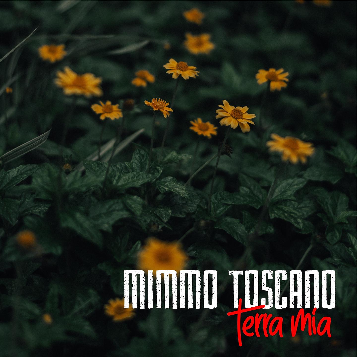 Постер альбома Terra mia