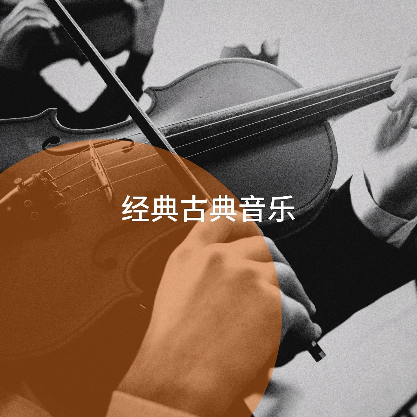 Постер альбома 经典古典音乐
