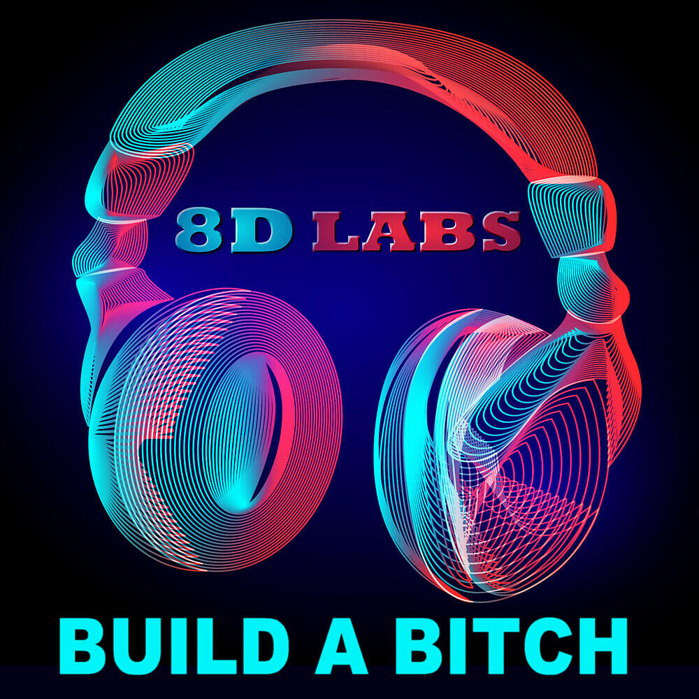 8D Labs - Build a Bitch (8D Audio Mix)