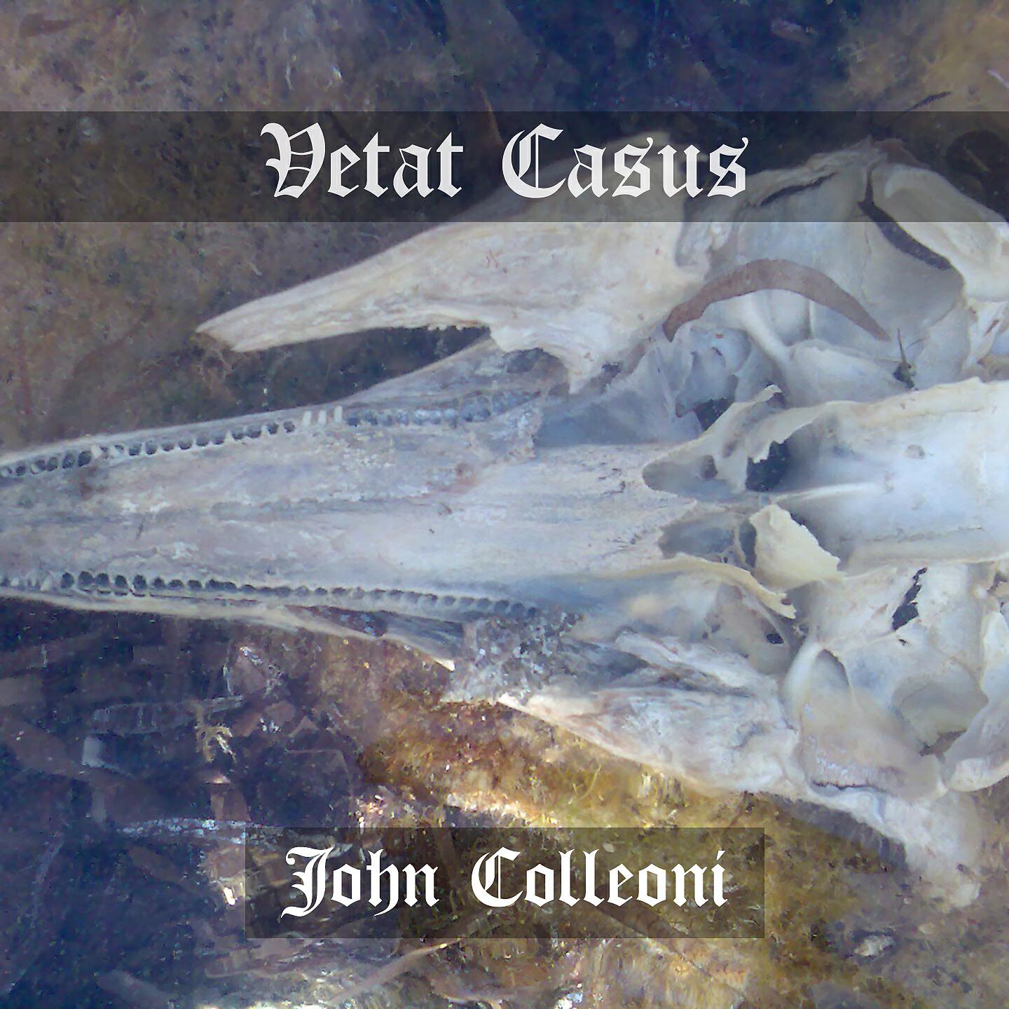 John Colleoni - Pandit (Motus II)