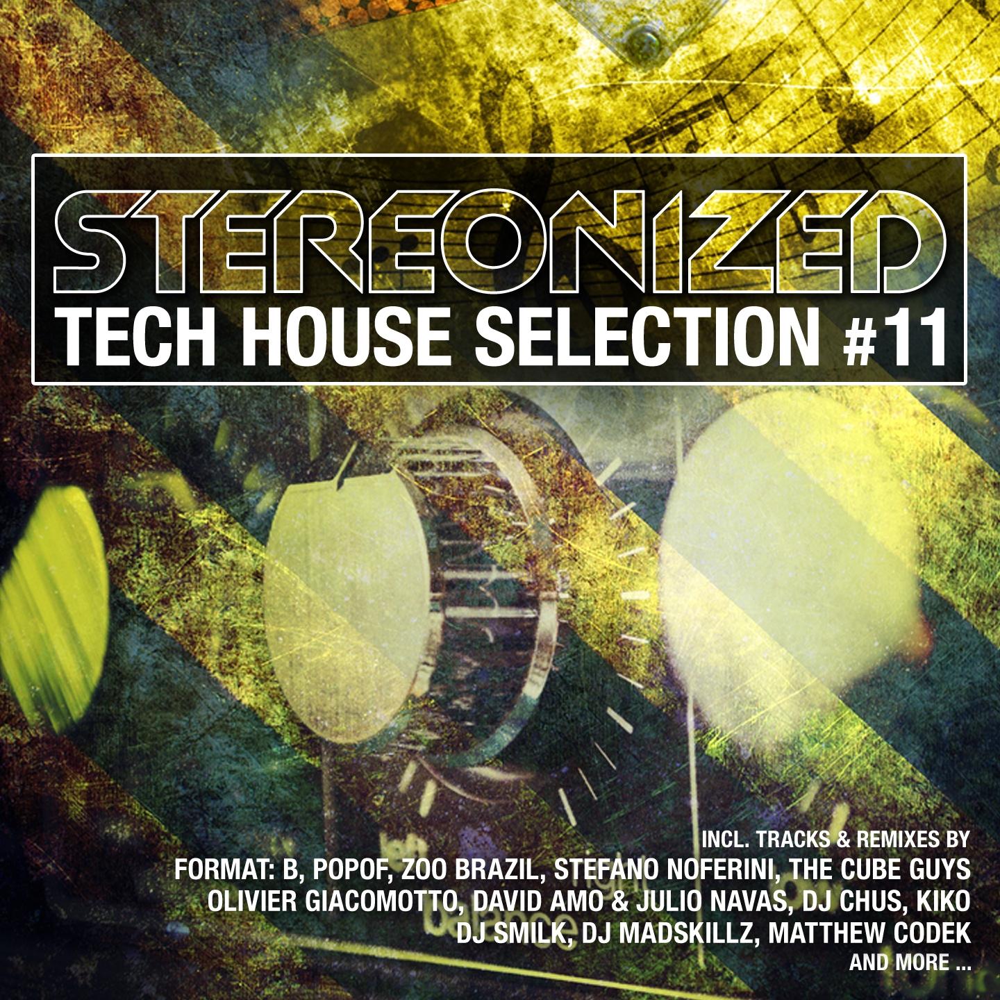 Постер альбома Stereonized - Tech House Selection, Vol. 11