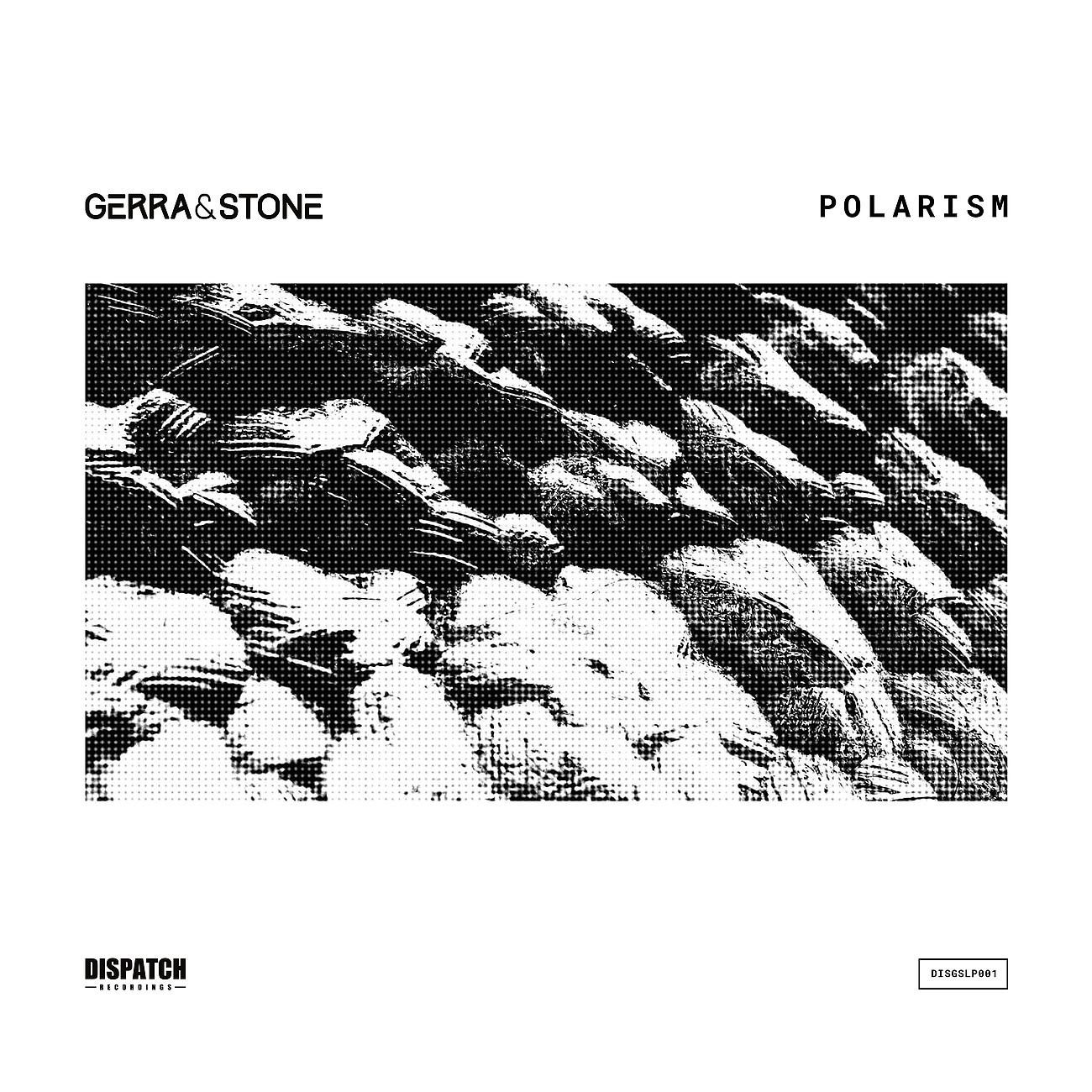 Постер альбома Polarism LP