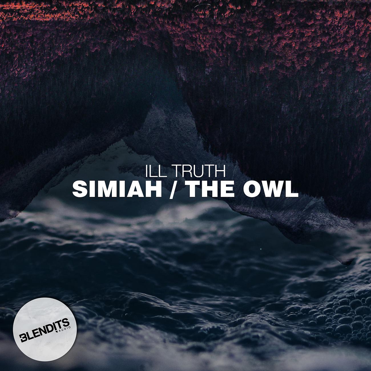 Постер альбома Simiah / The Owl