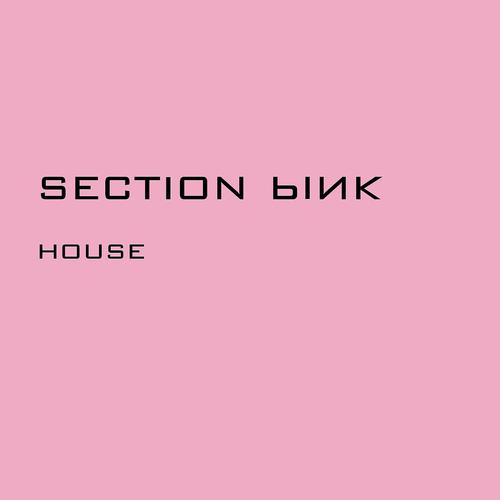 Постер альбома Section Pink - House
