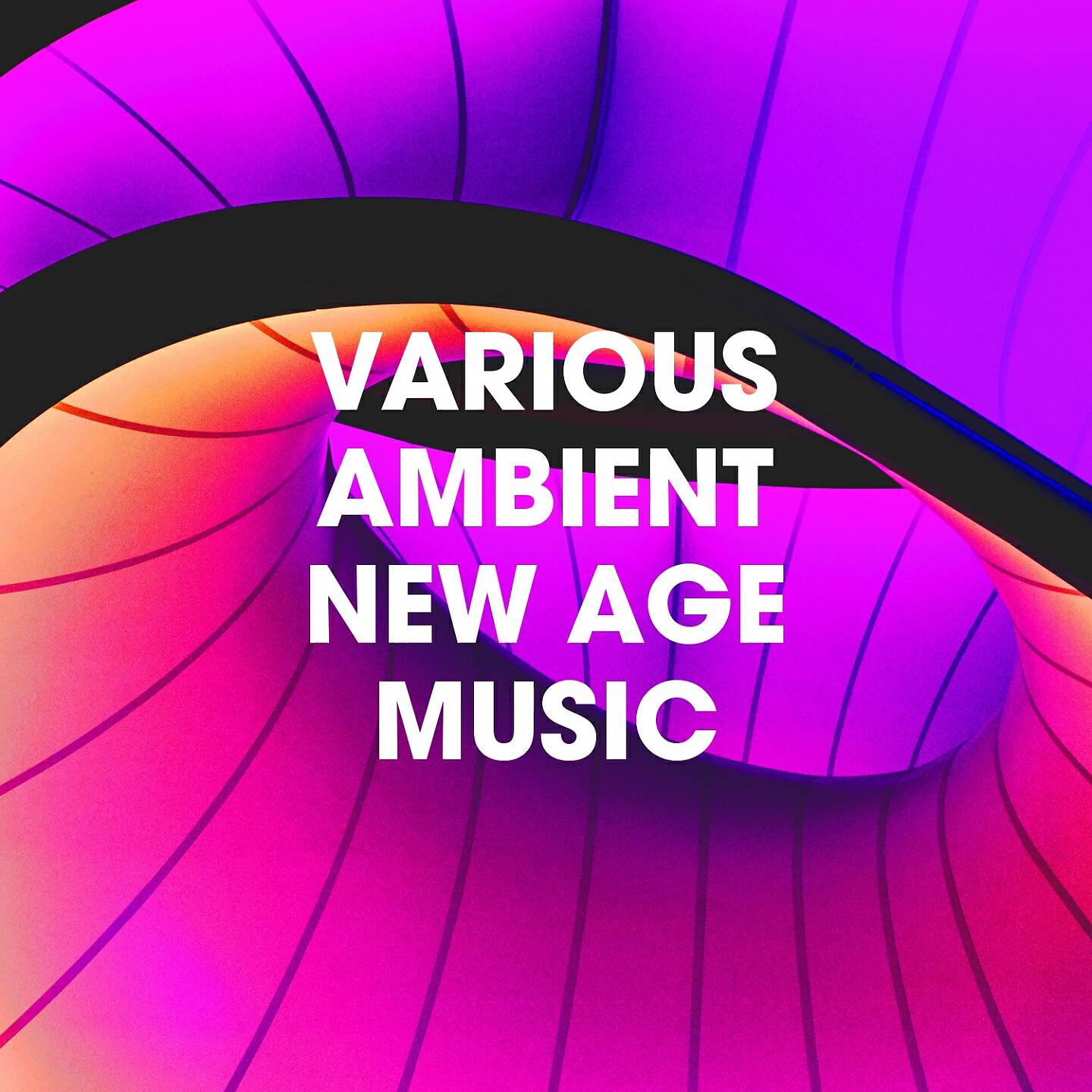 The New Millennium Orchestra - Fire, Arousal and Will
