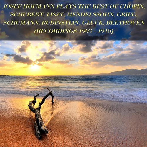 Постер альбома Josef Hofmann Plays the Best of Chopin, Schubert, Liszt, Mendelssohn, Grieg, Schumann, Rubinstein, Gluck, Beethoven